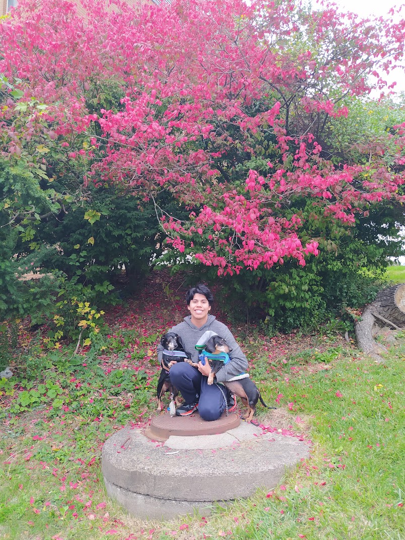 image-3