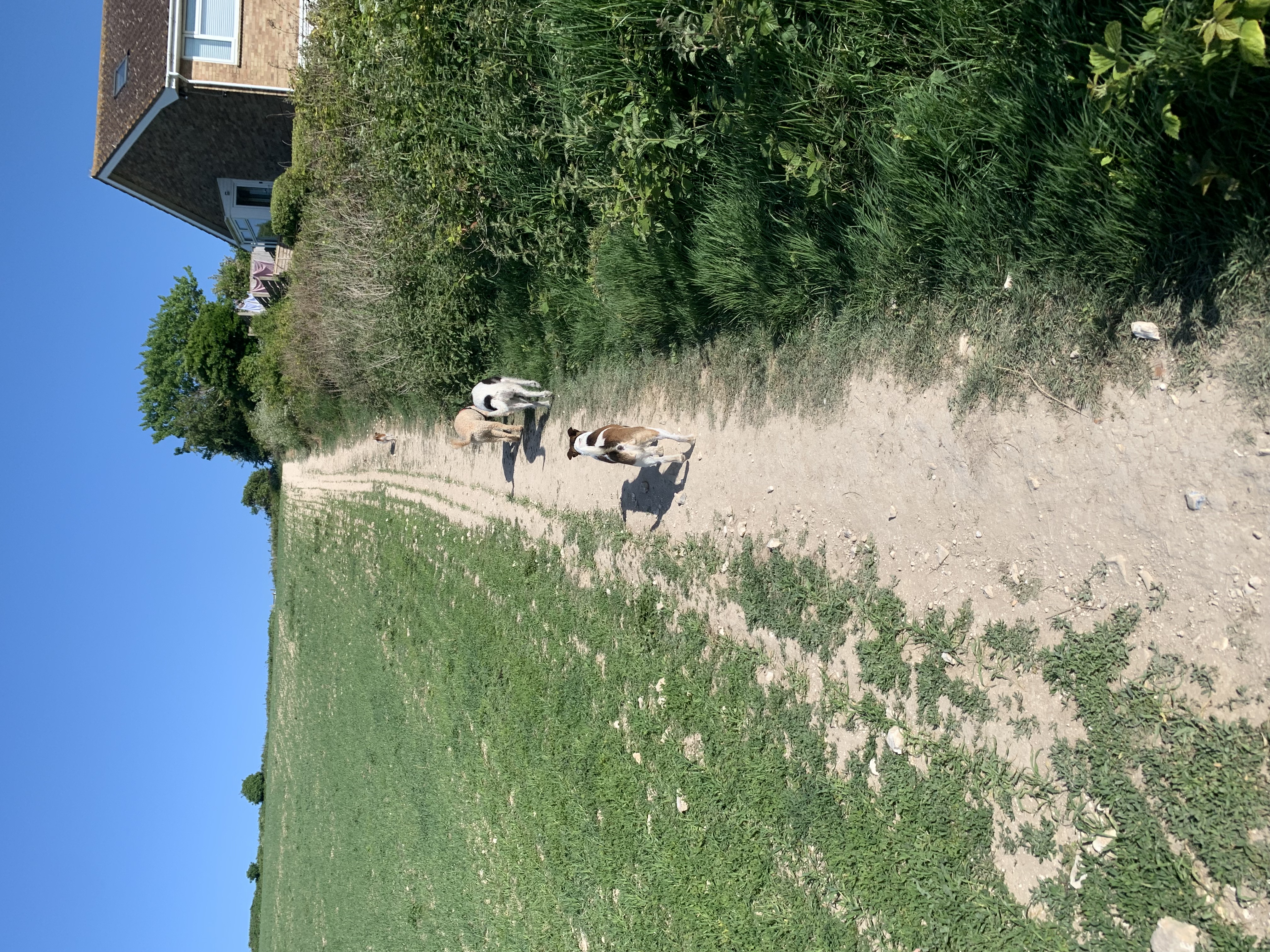 image-11