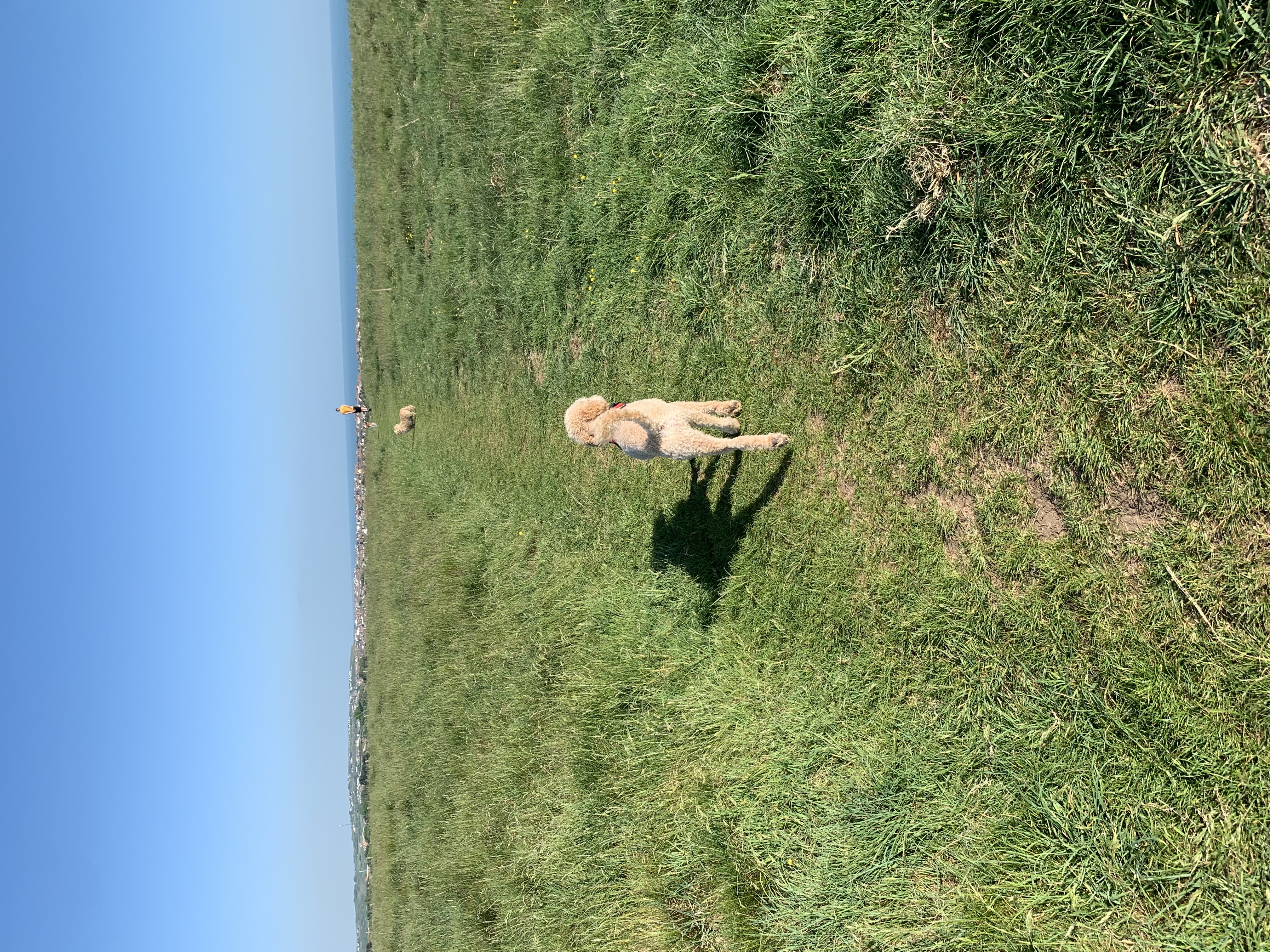 image-9