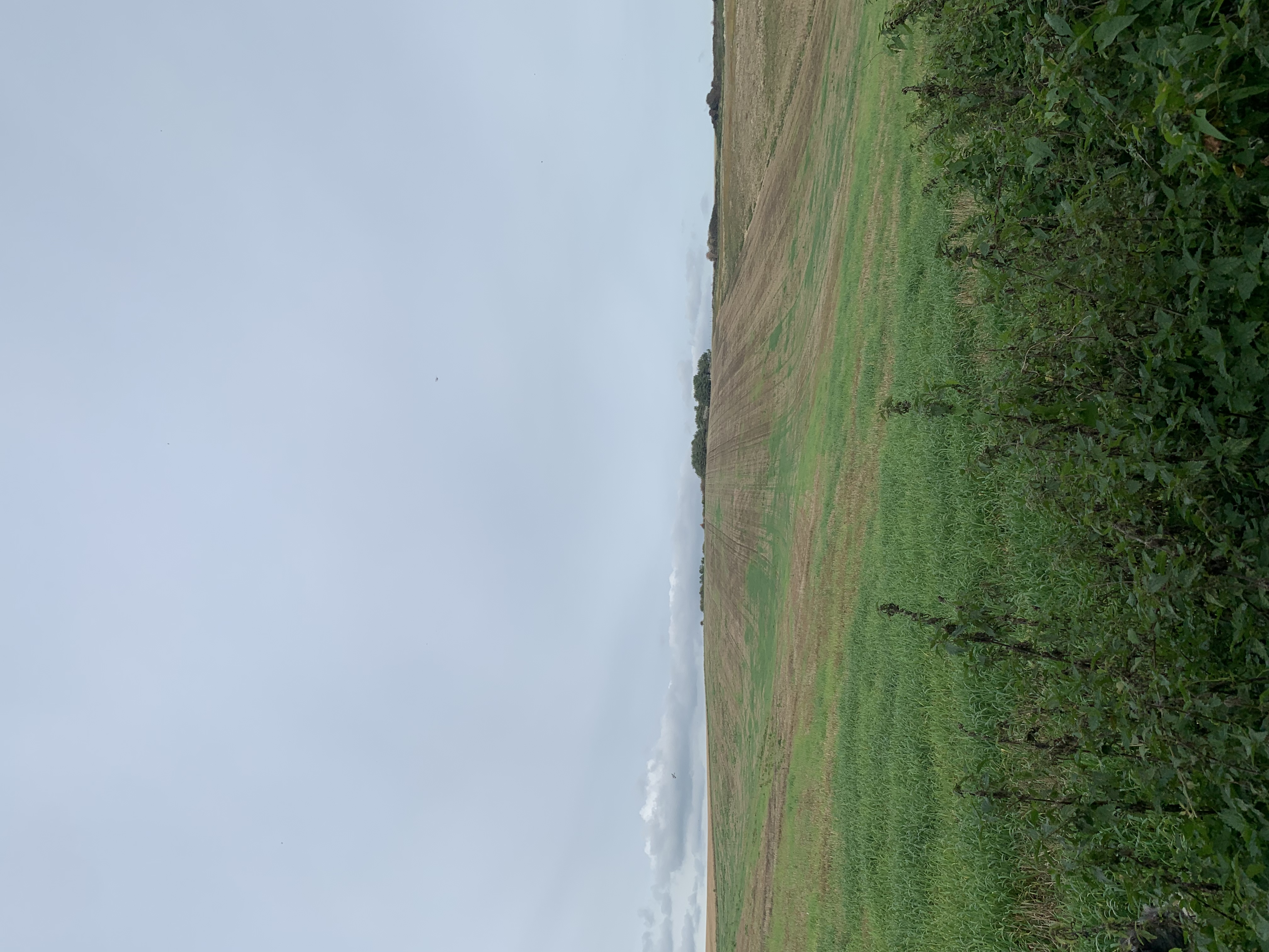 image-22