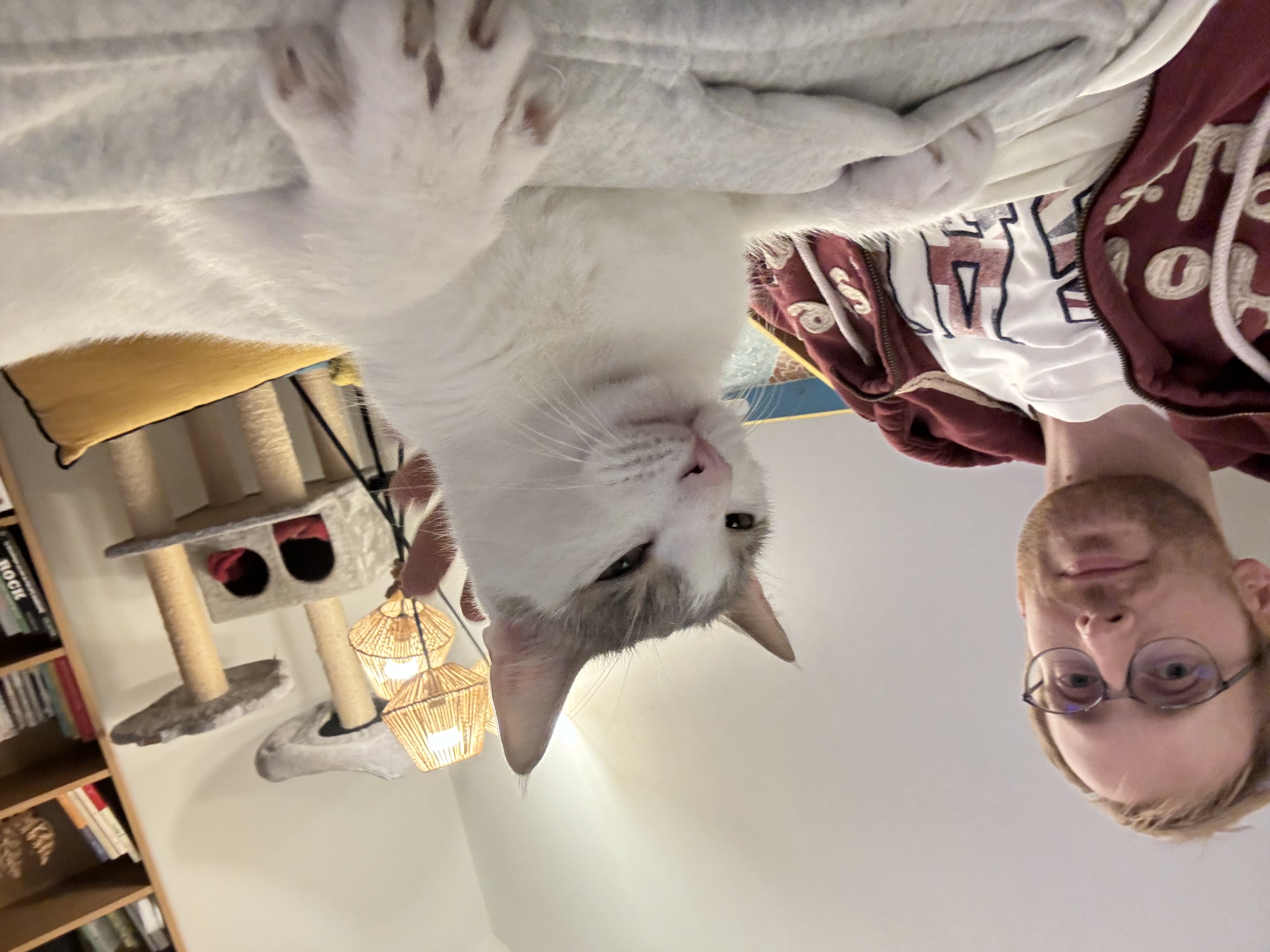 image-6