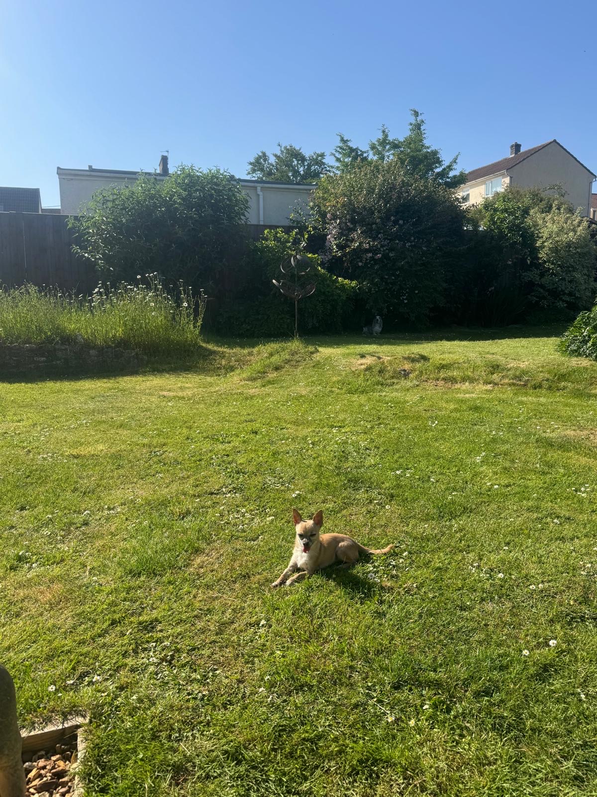 image-16