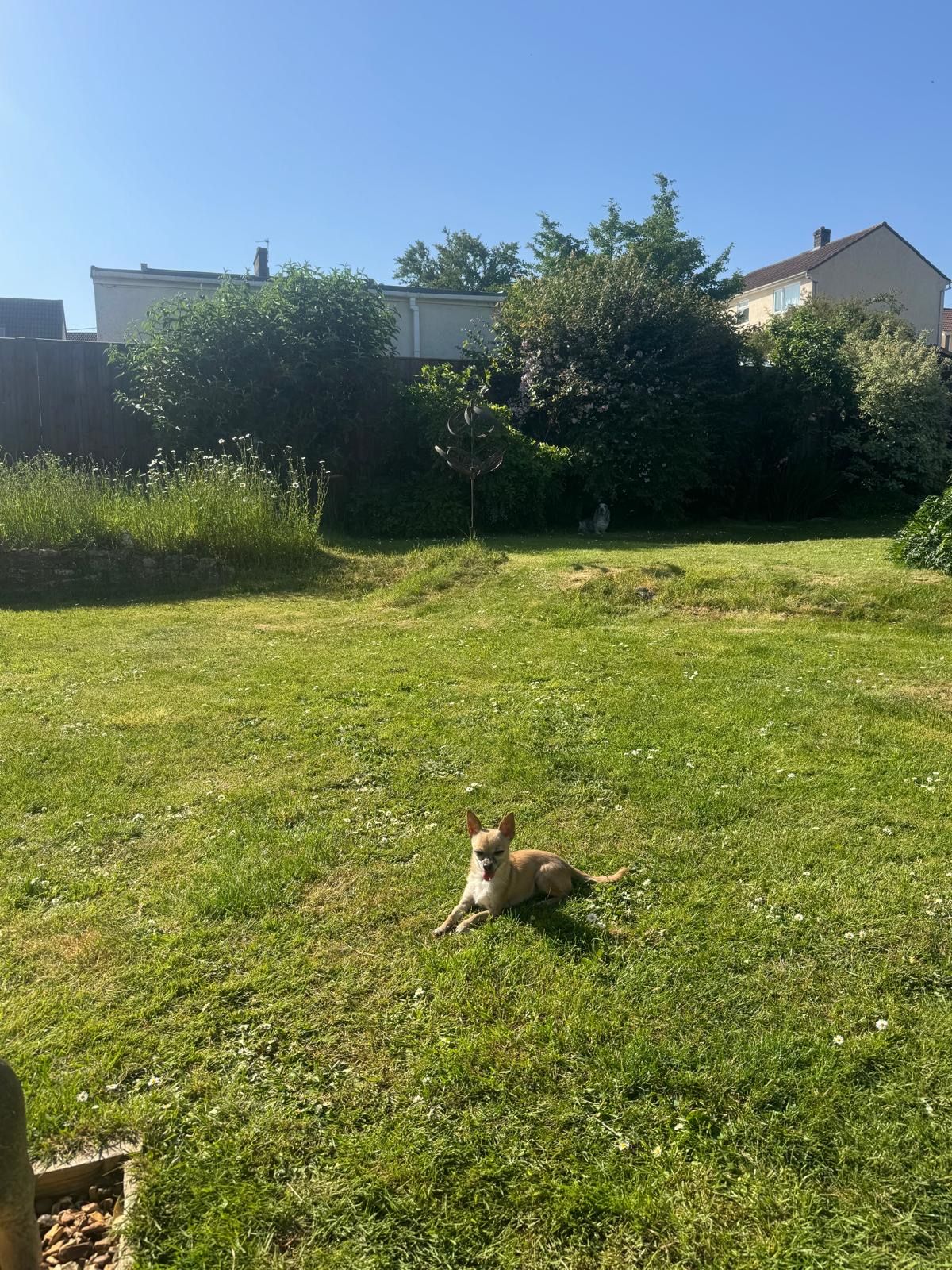 image-16