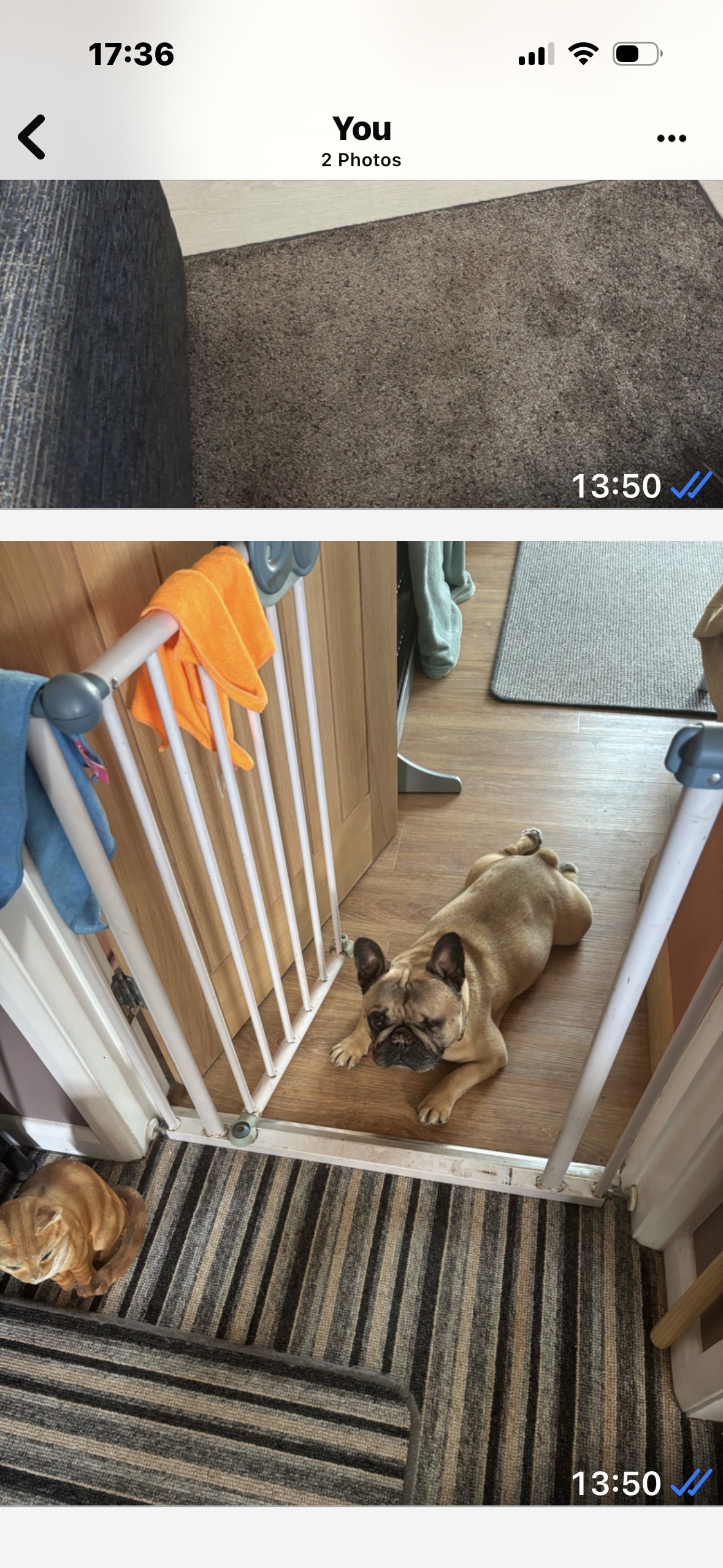 image-14