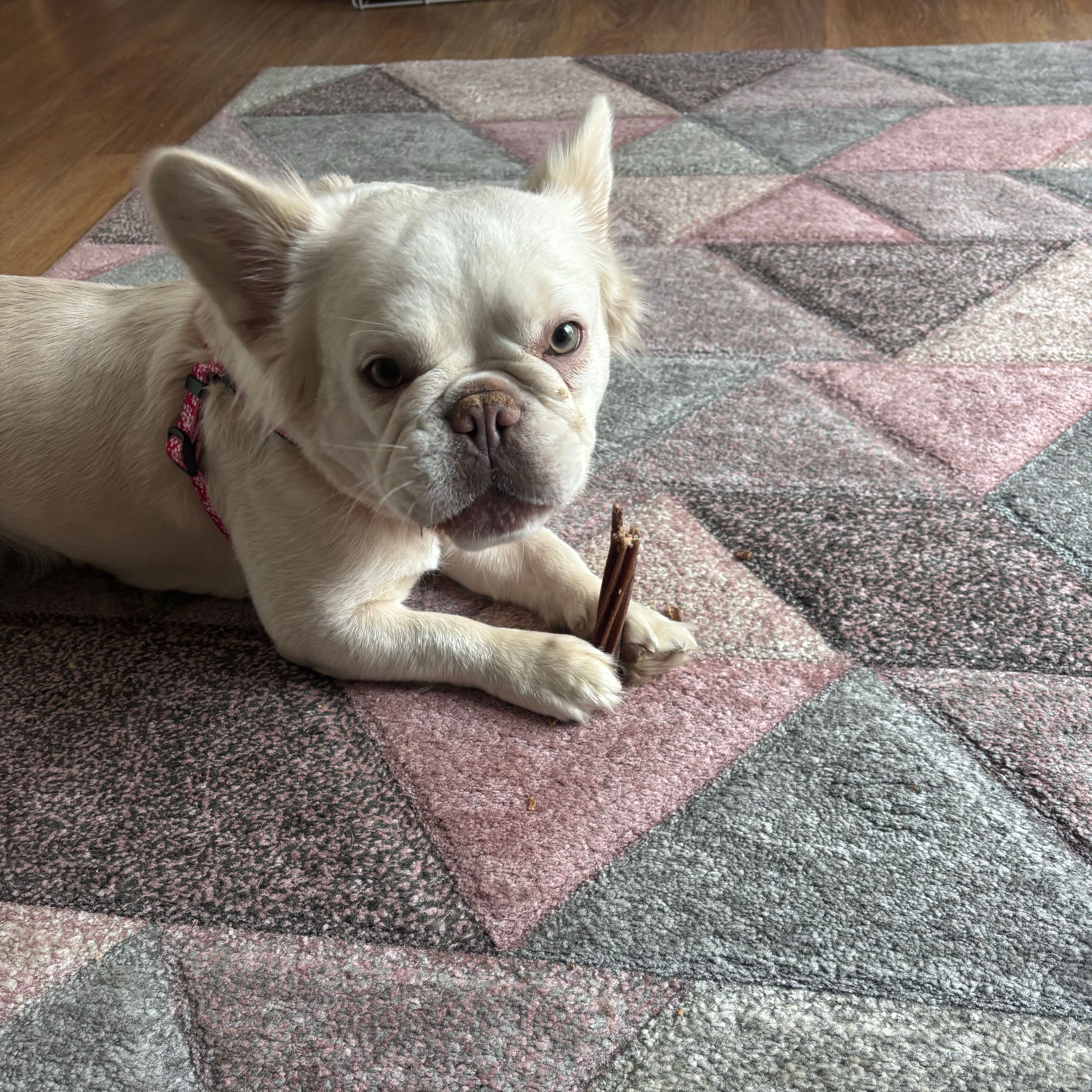 Peggy