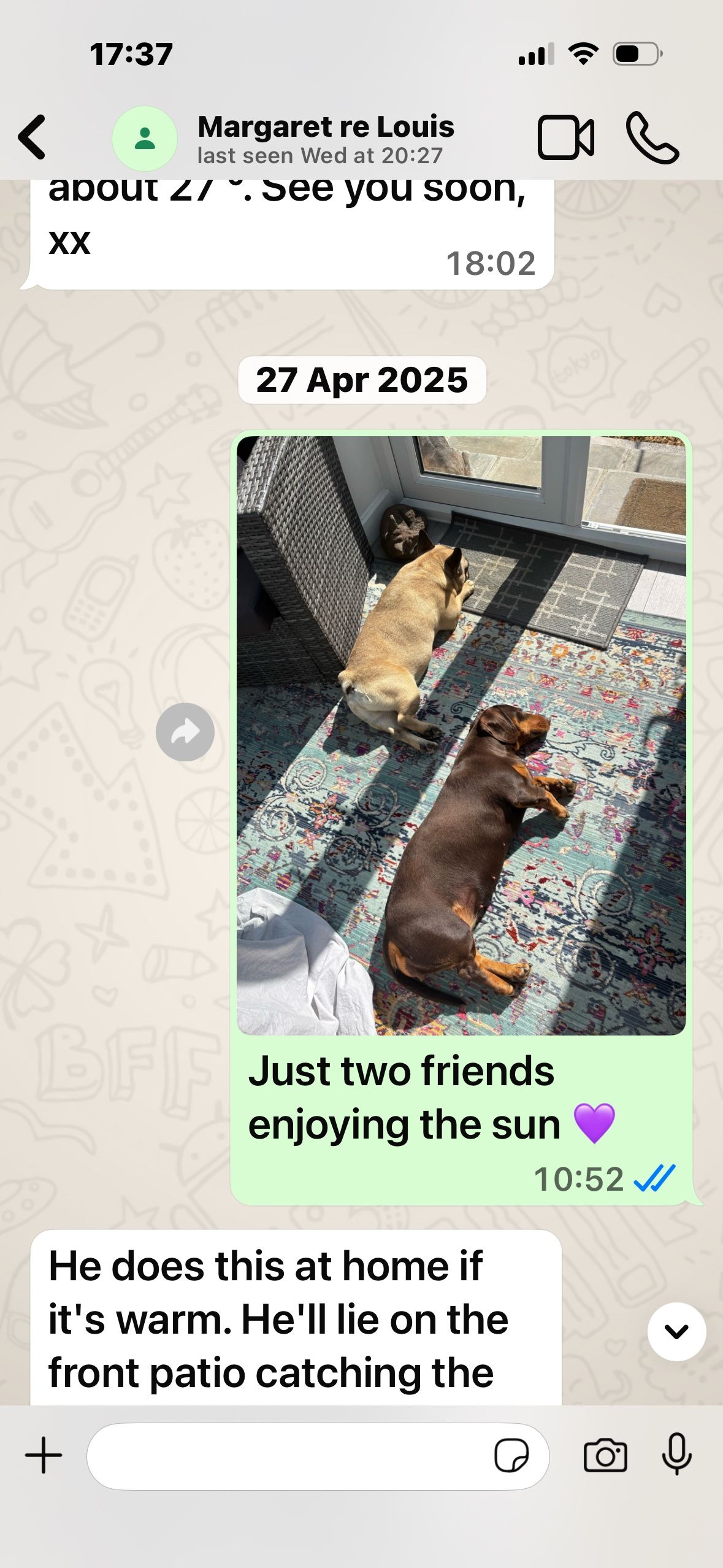 image-11