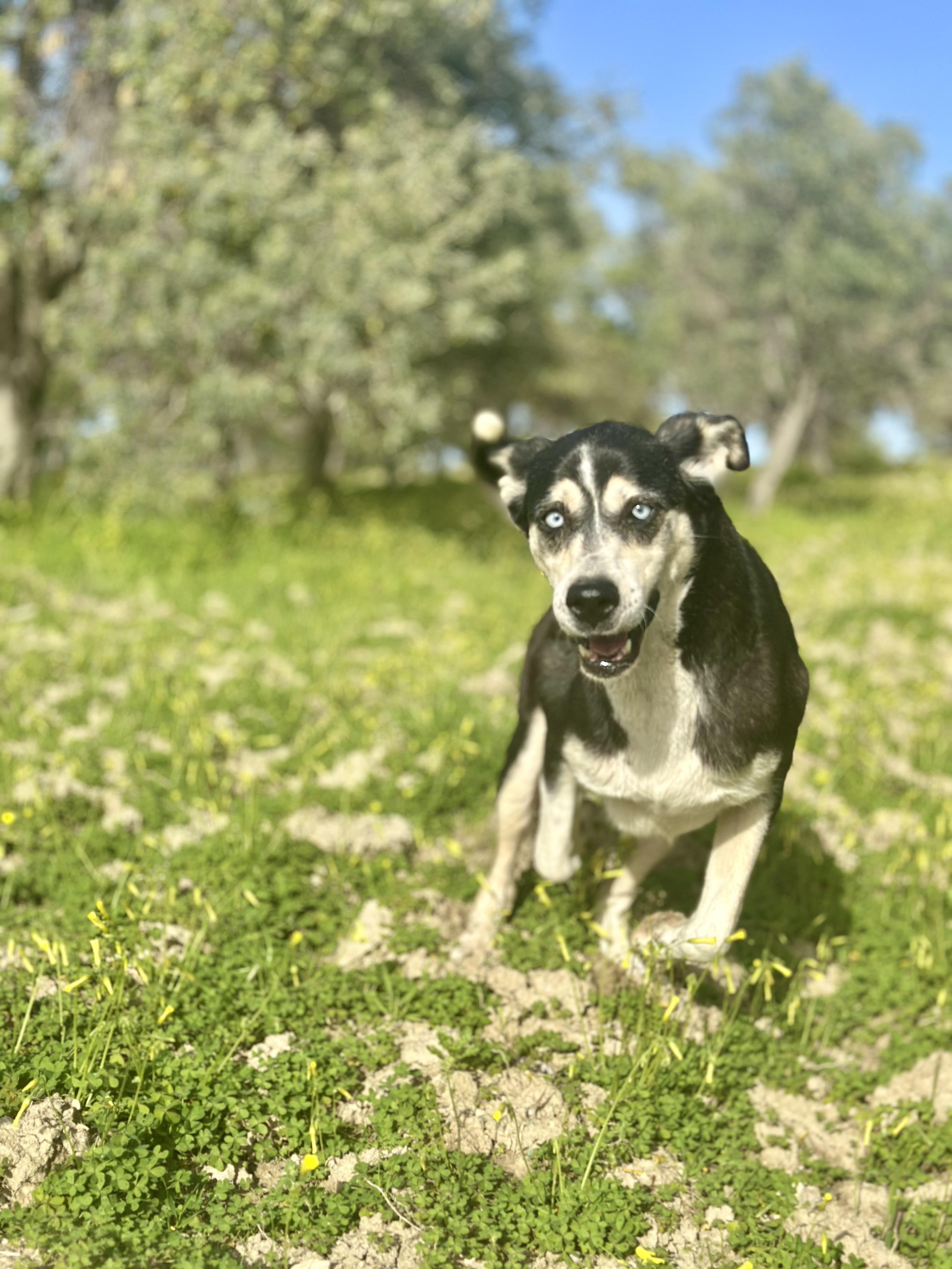 image-11