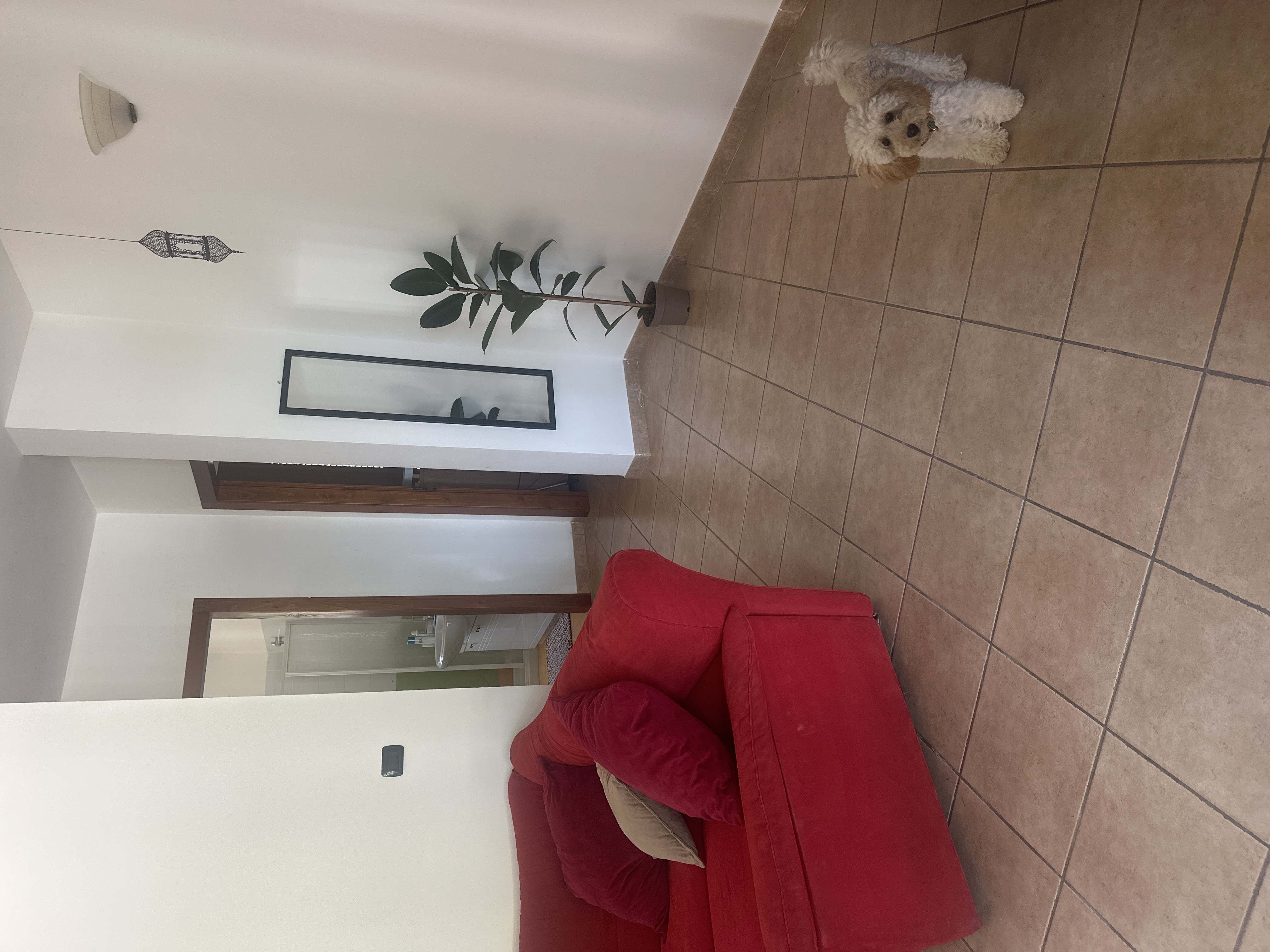 image-24
