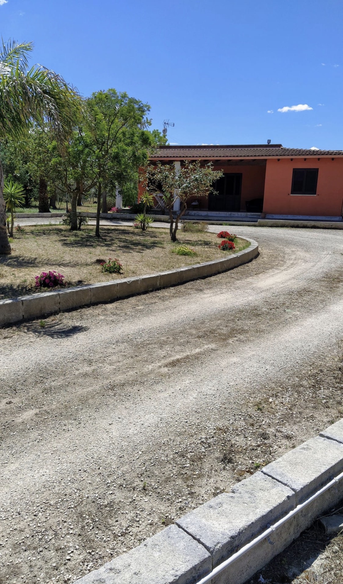 image-19