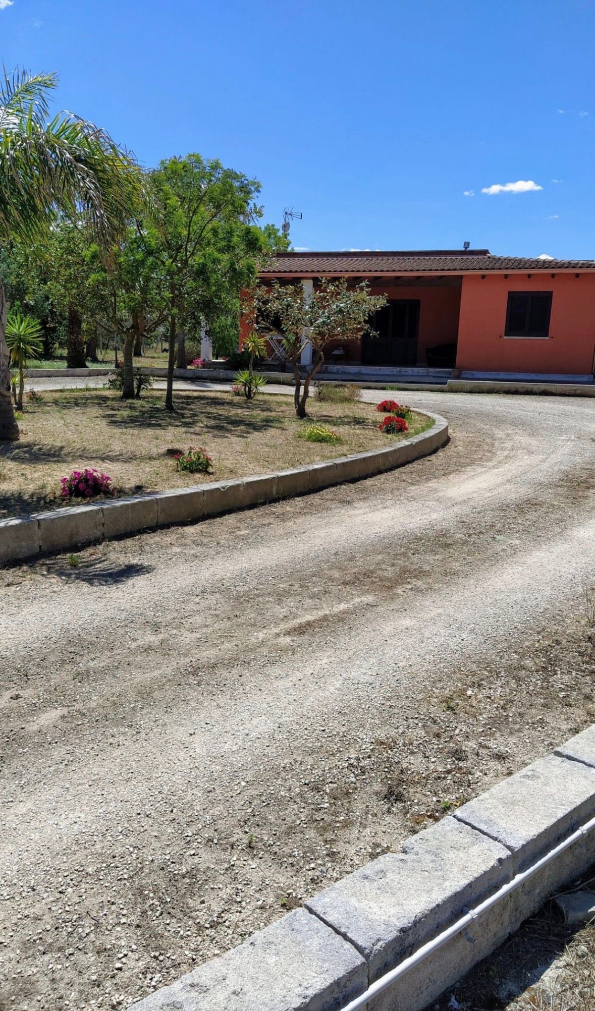 image-19