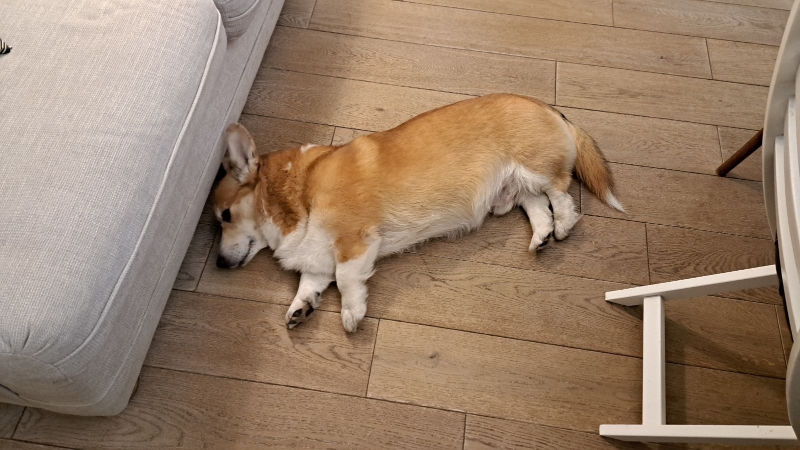 image-9