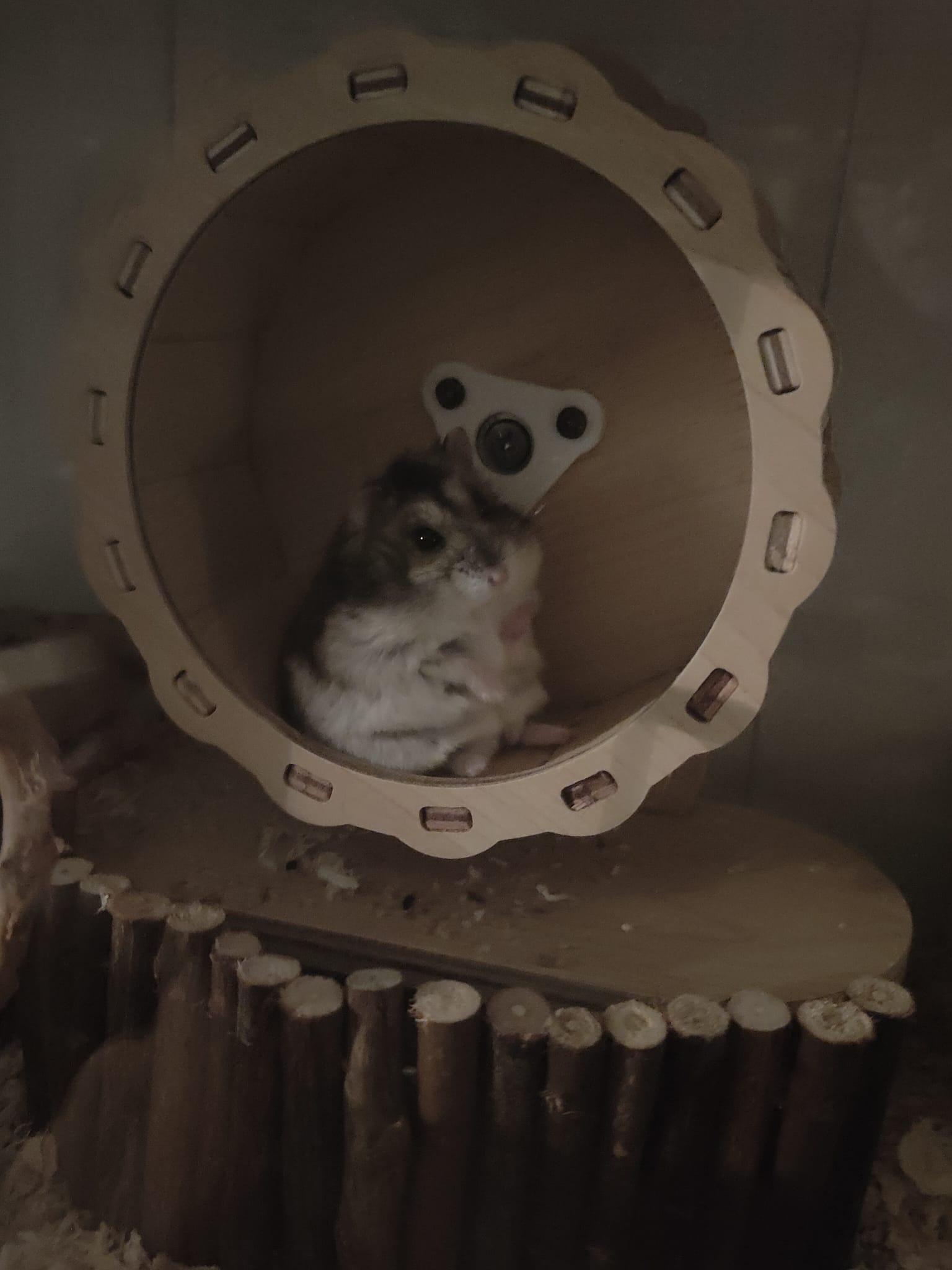 image-6