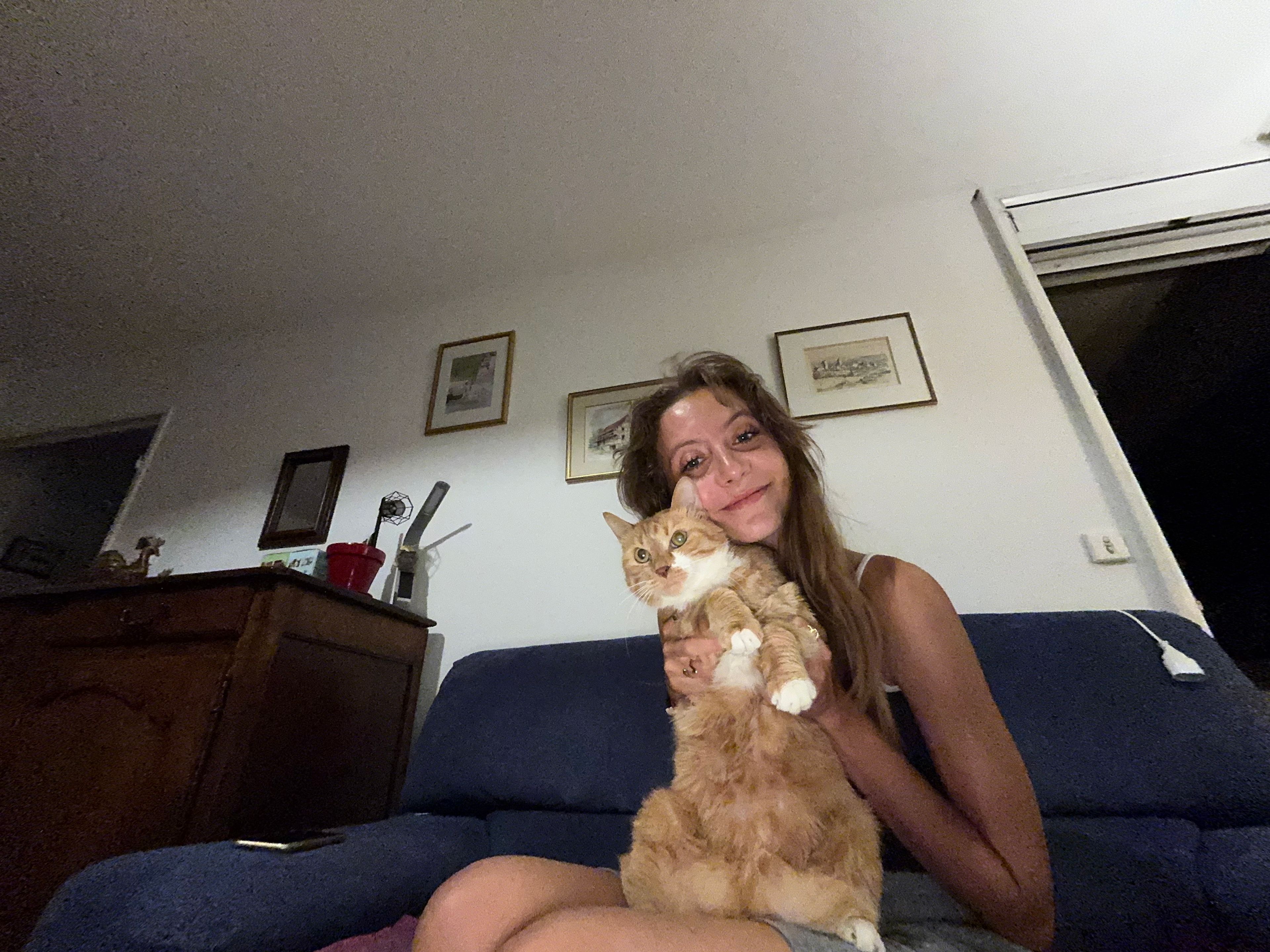 image-6