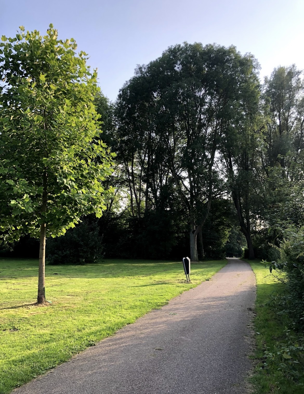image-11