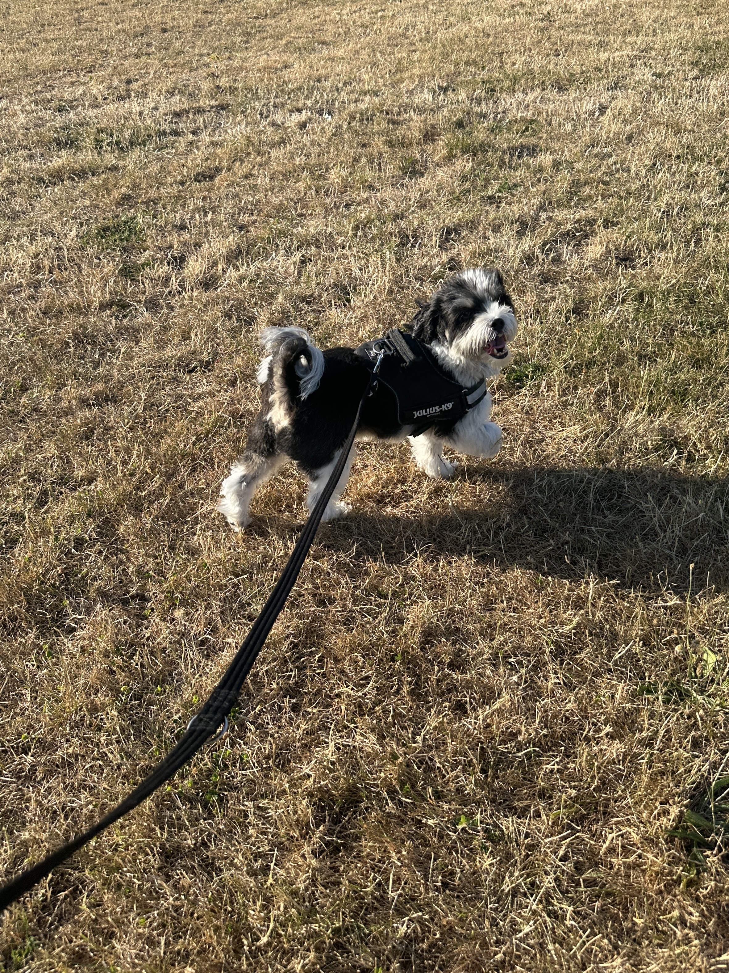 image-7