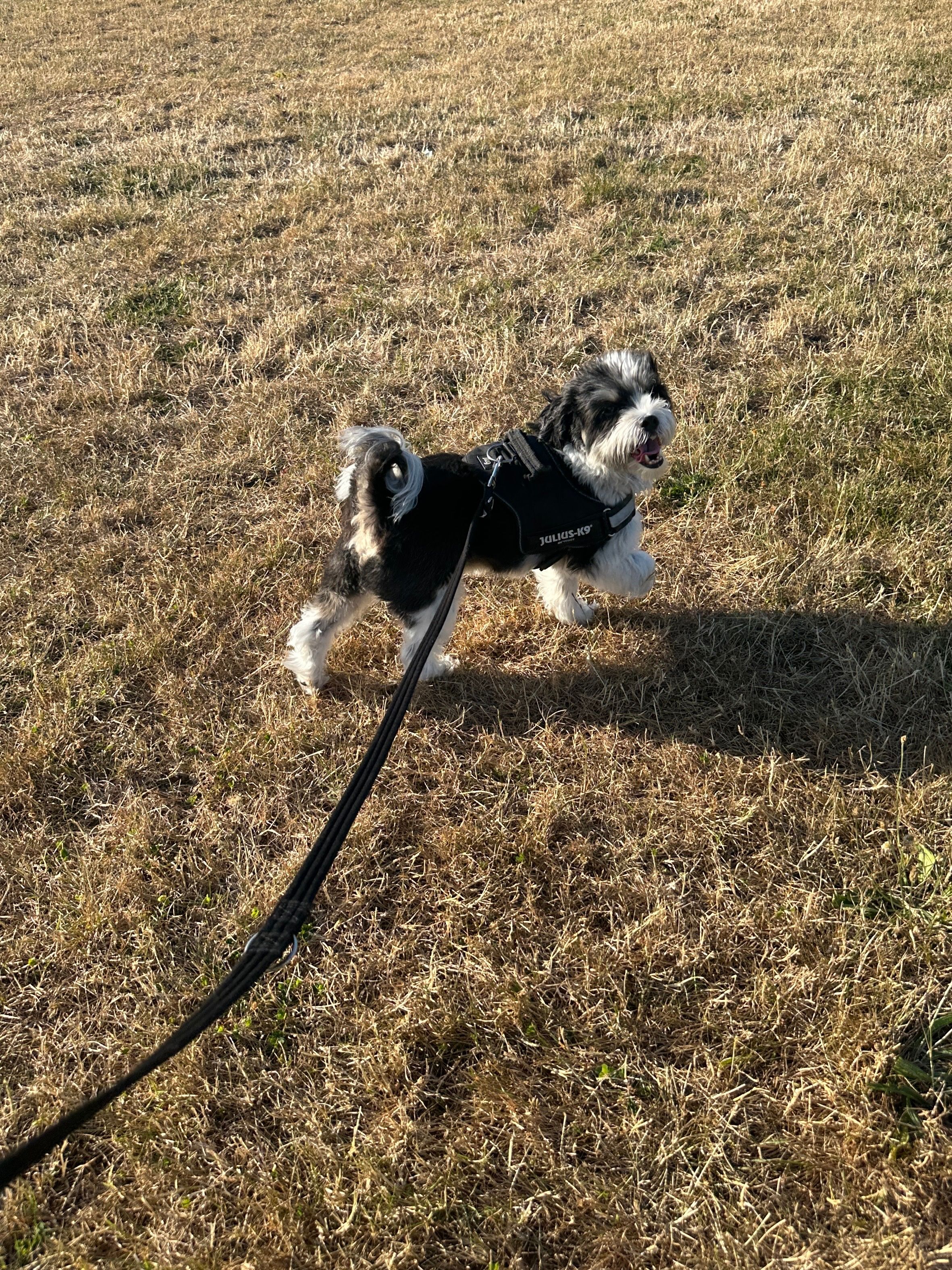 image-7