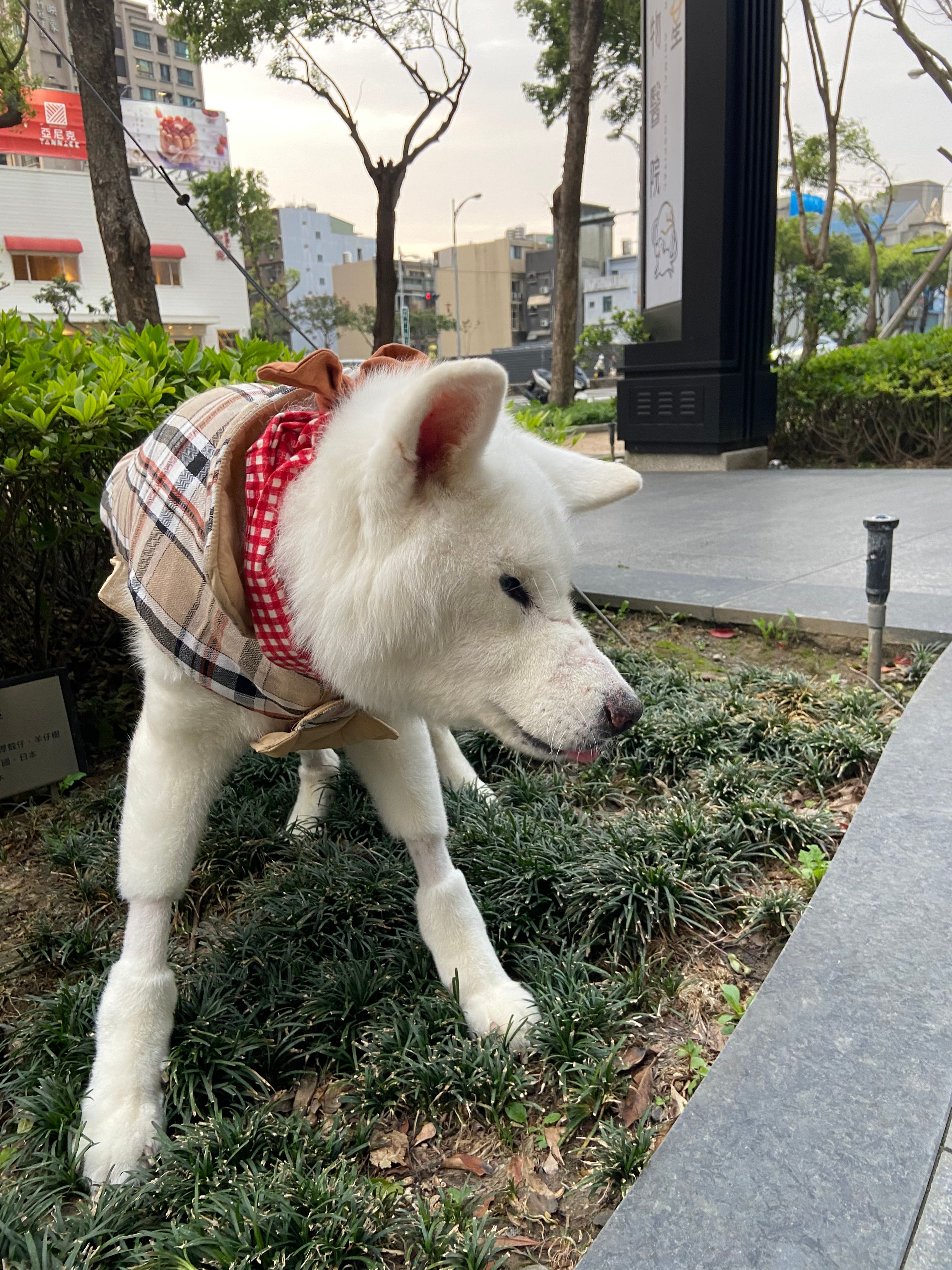 image-9