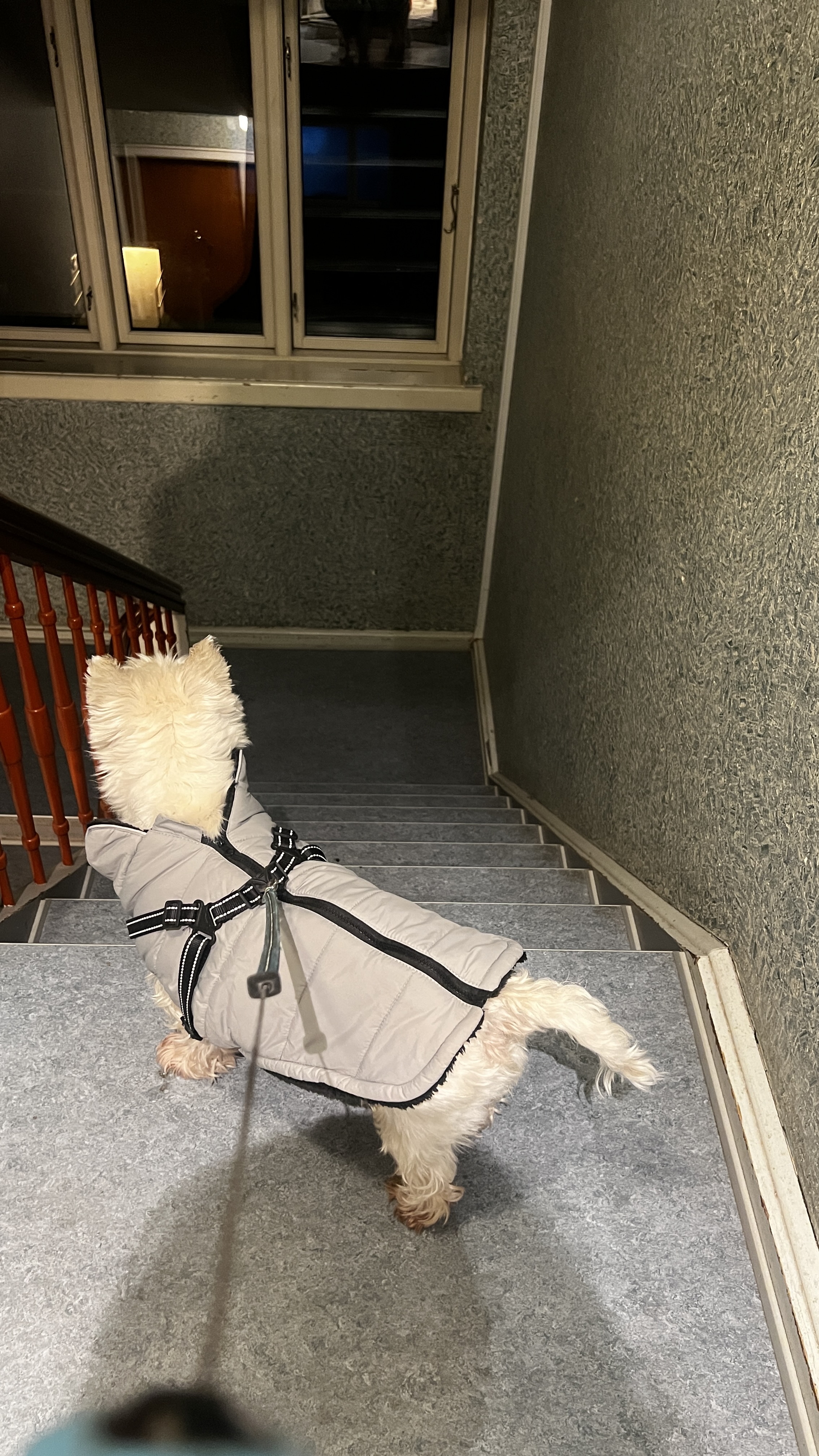 image-17