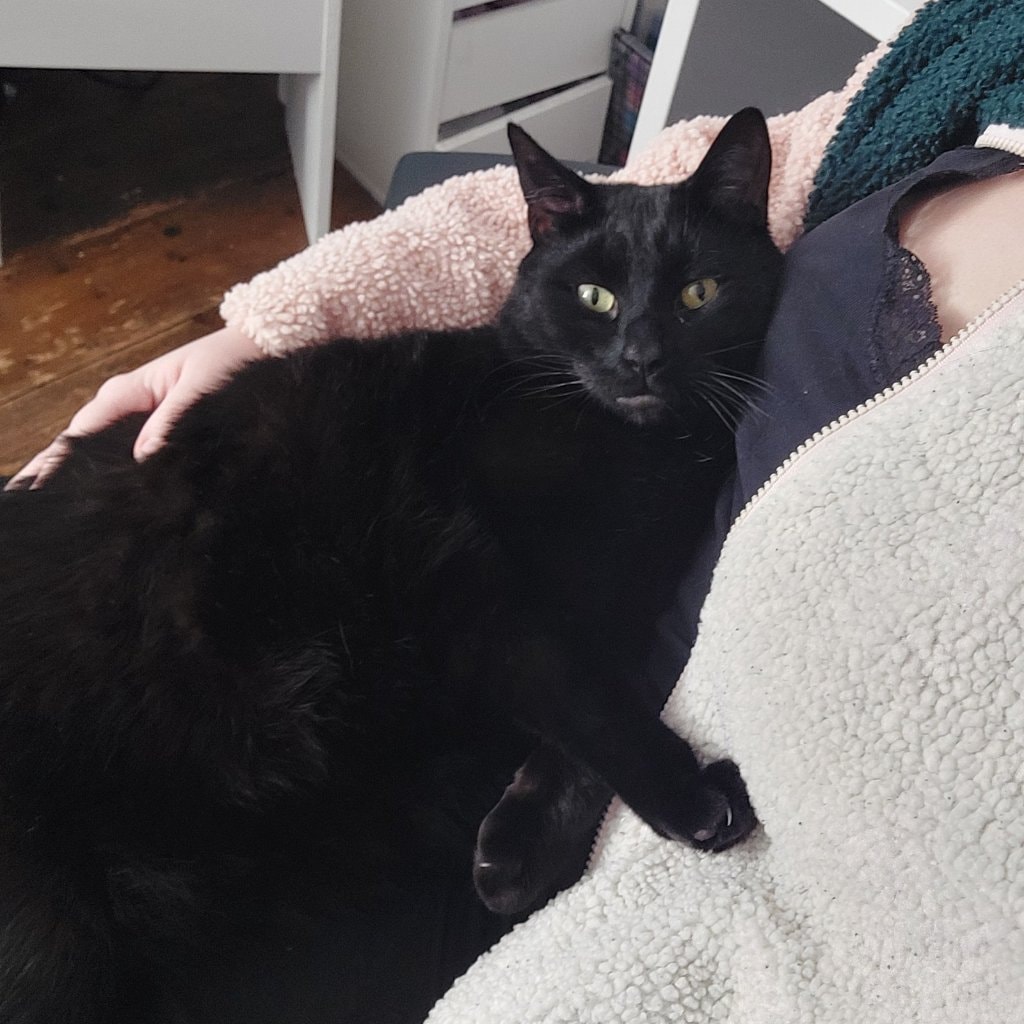 Otis