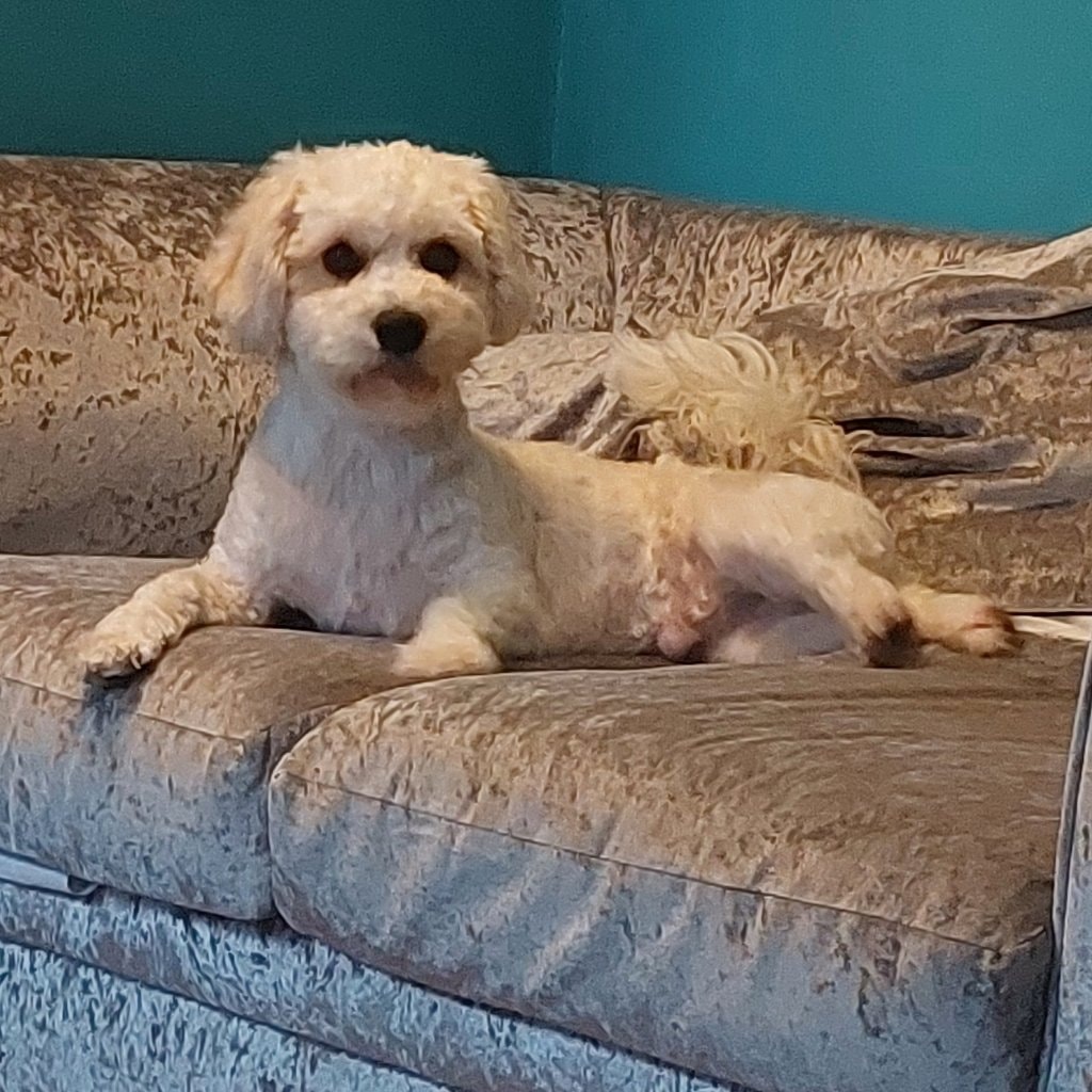 Duncan