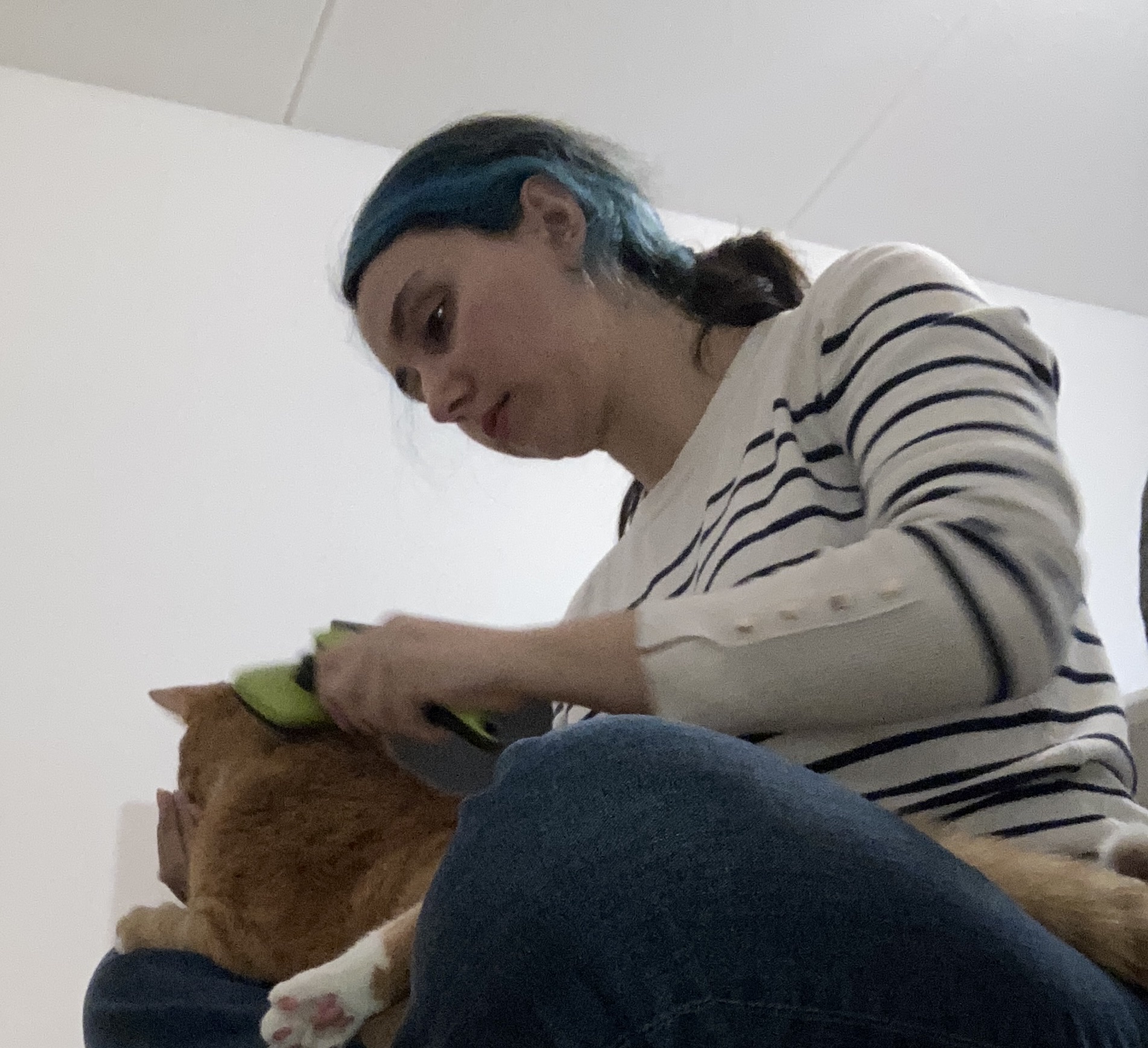 image-5