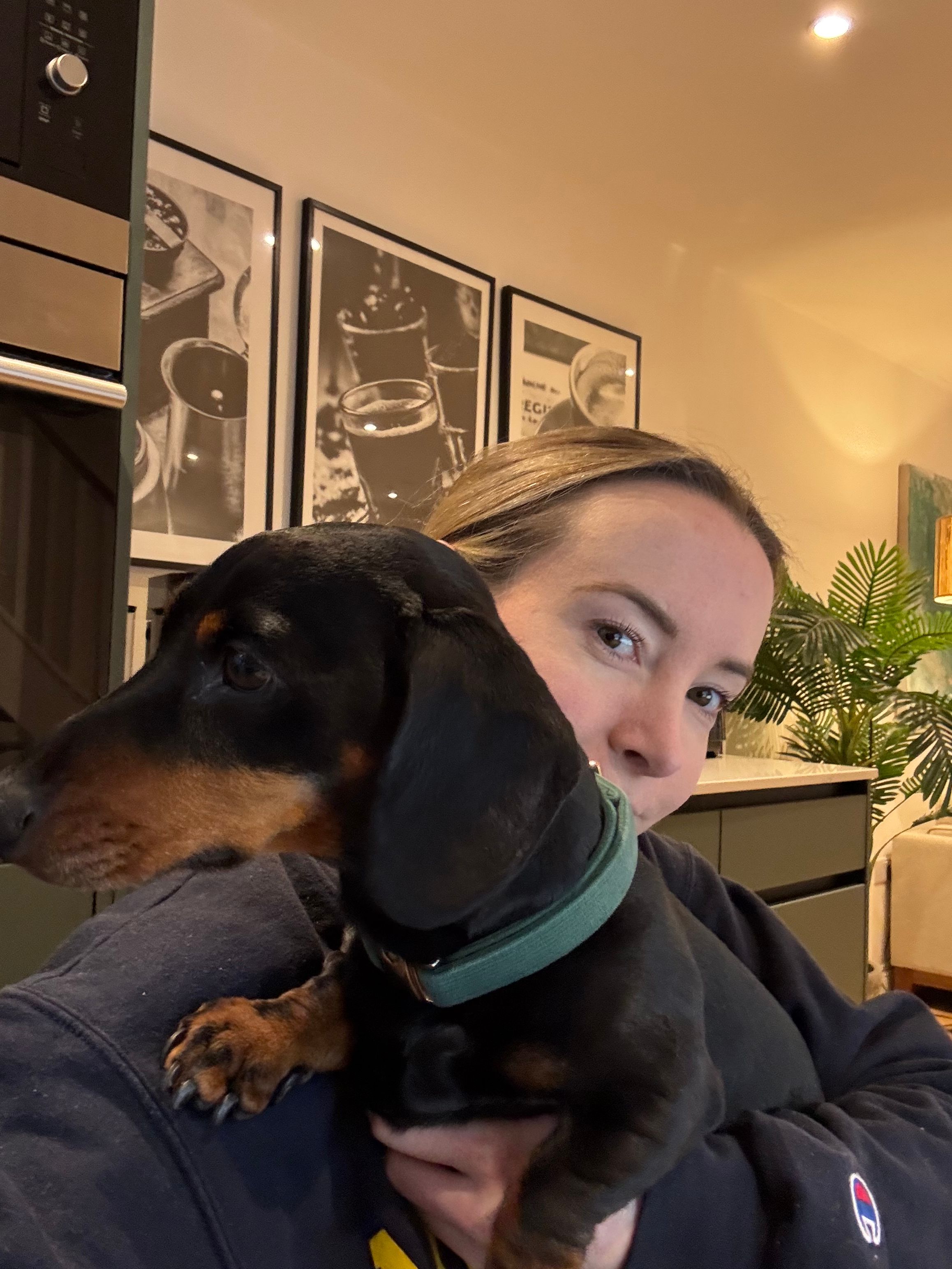 image-6