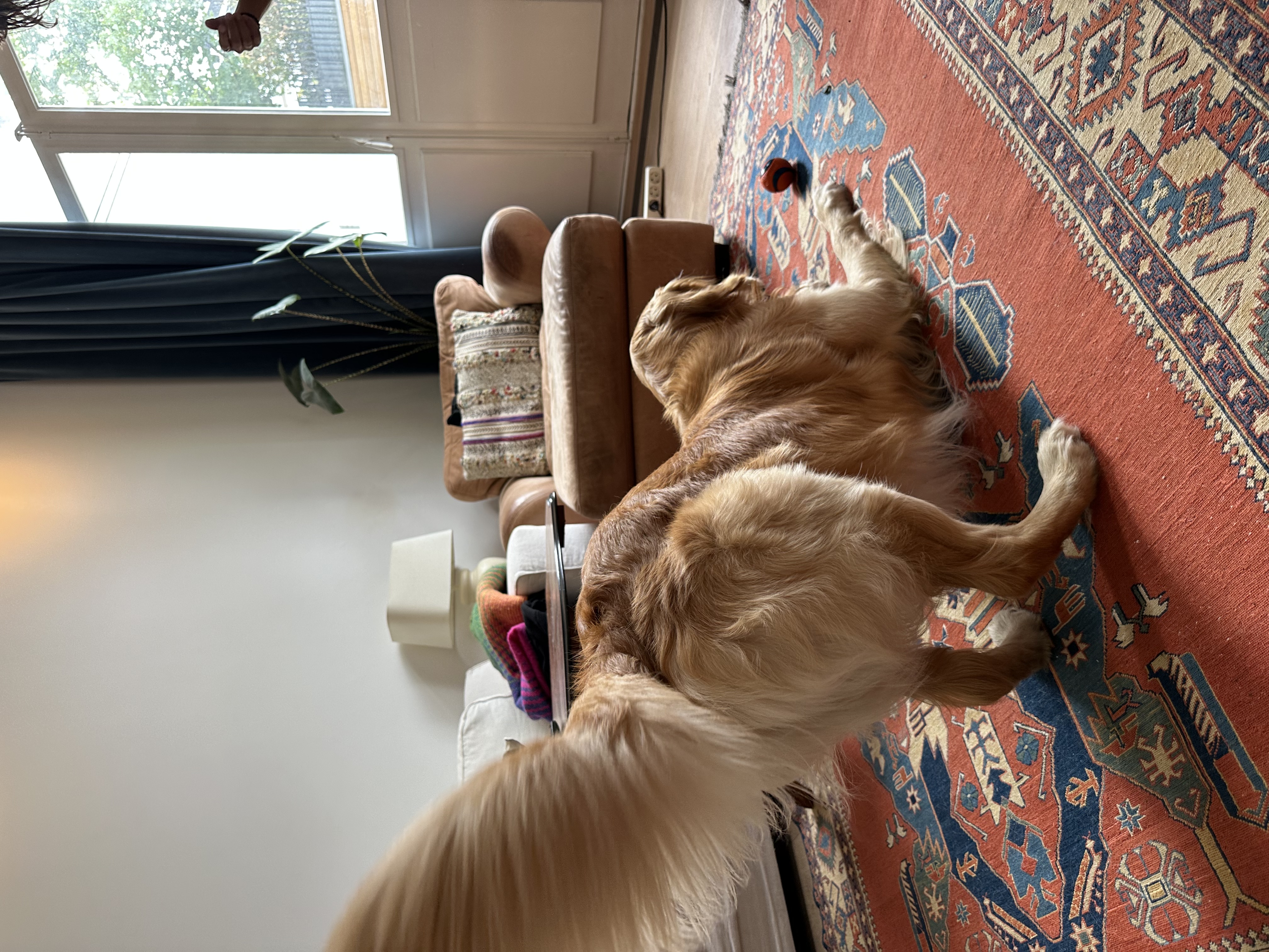 image-8