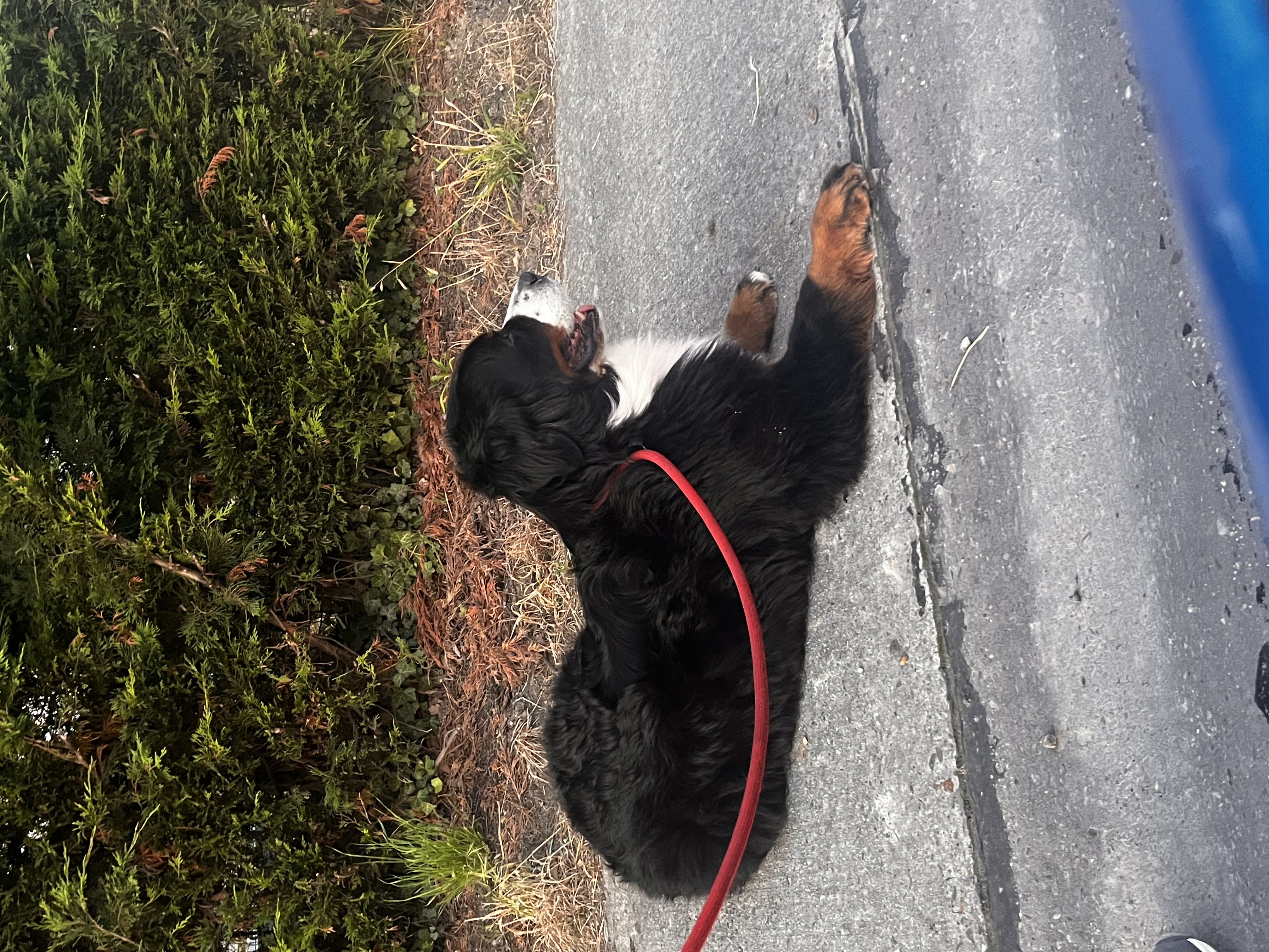 image-11