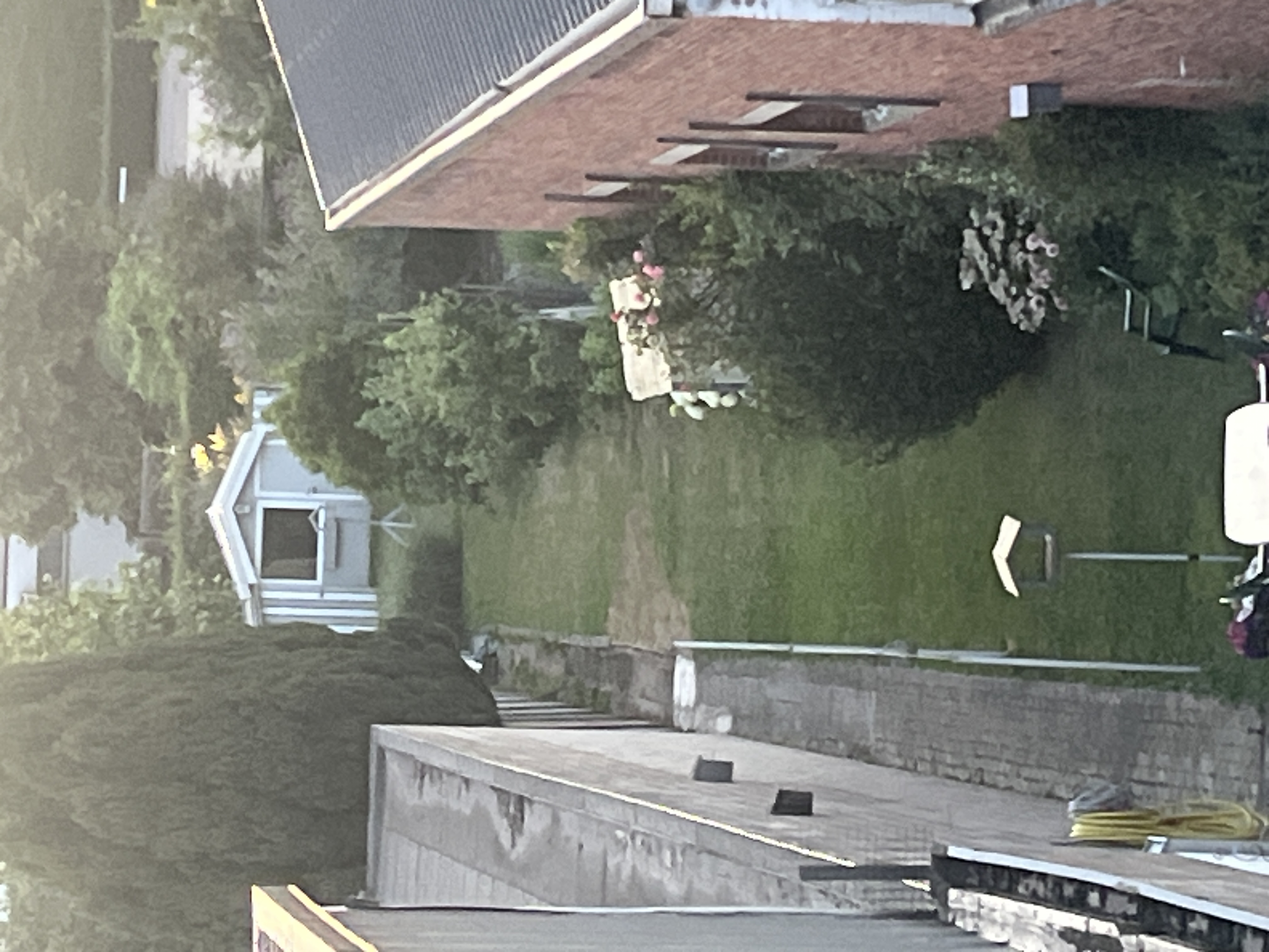 image-14