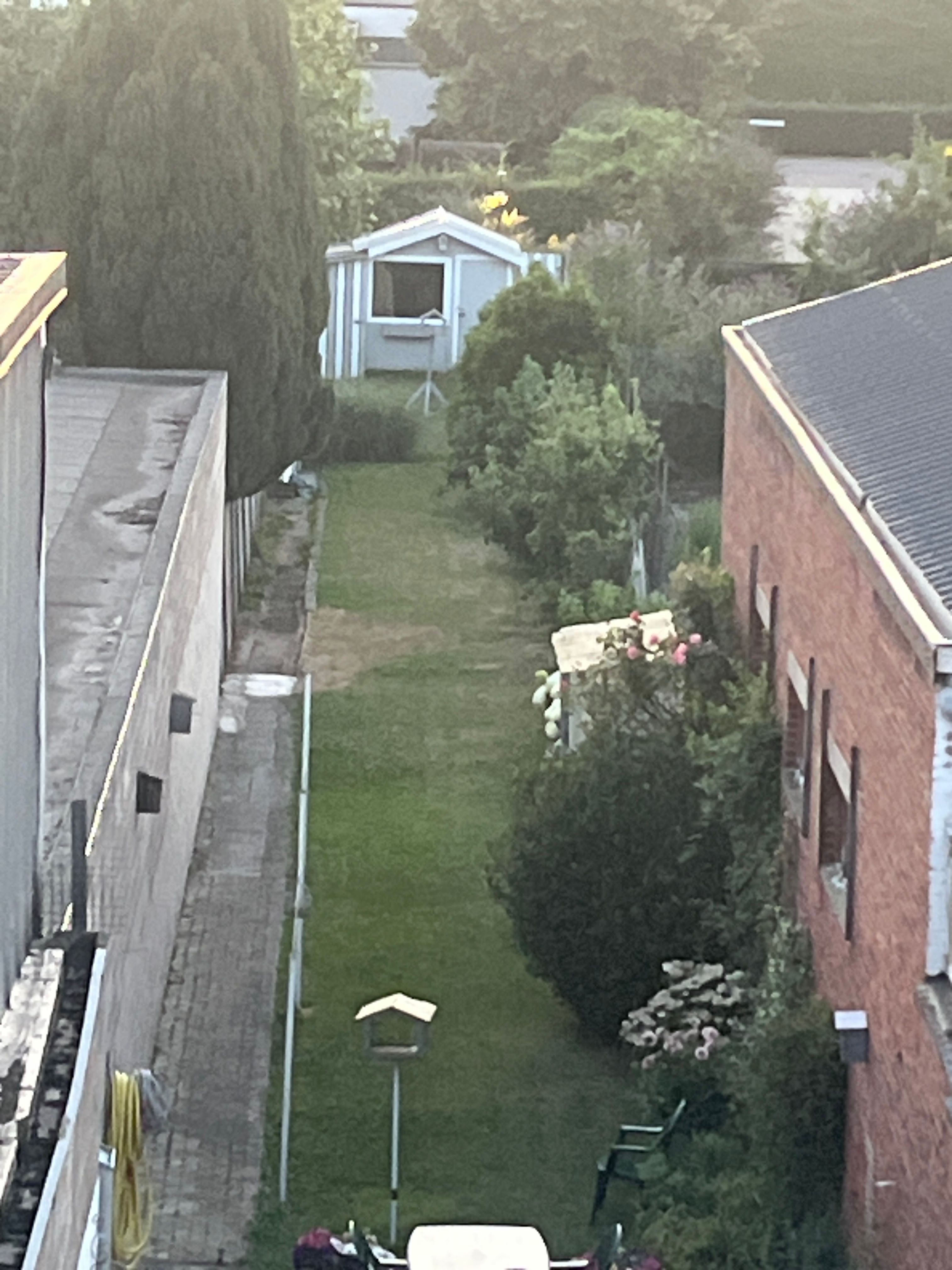 image-14
