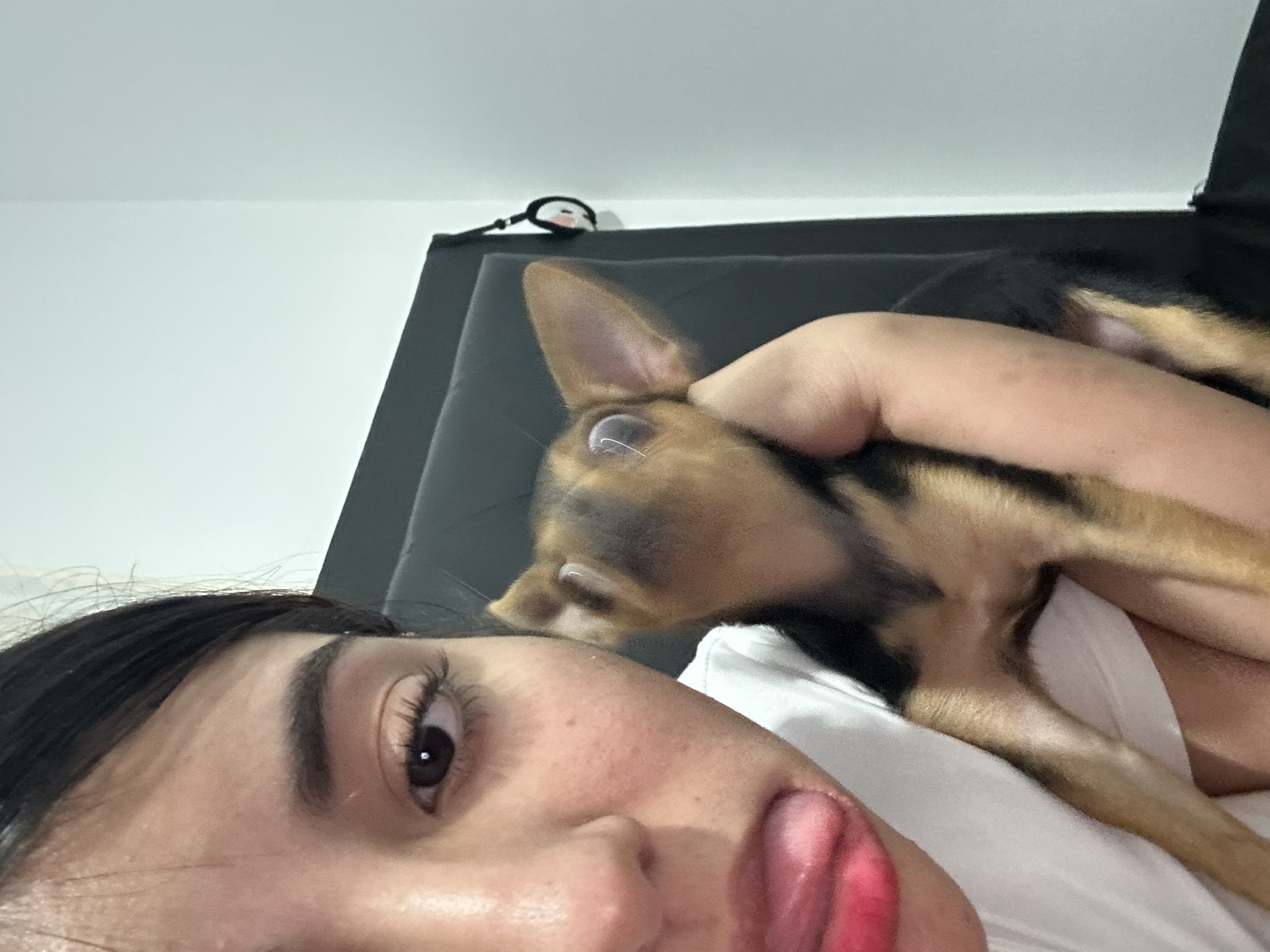 image-8