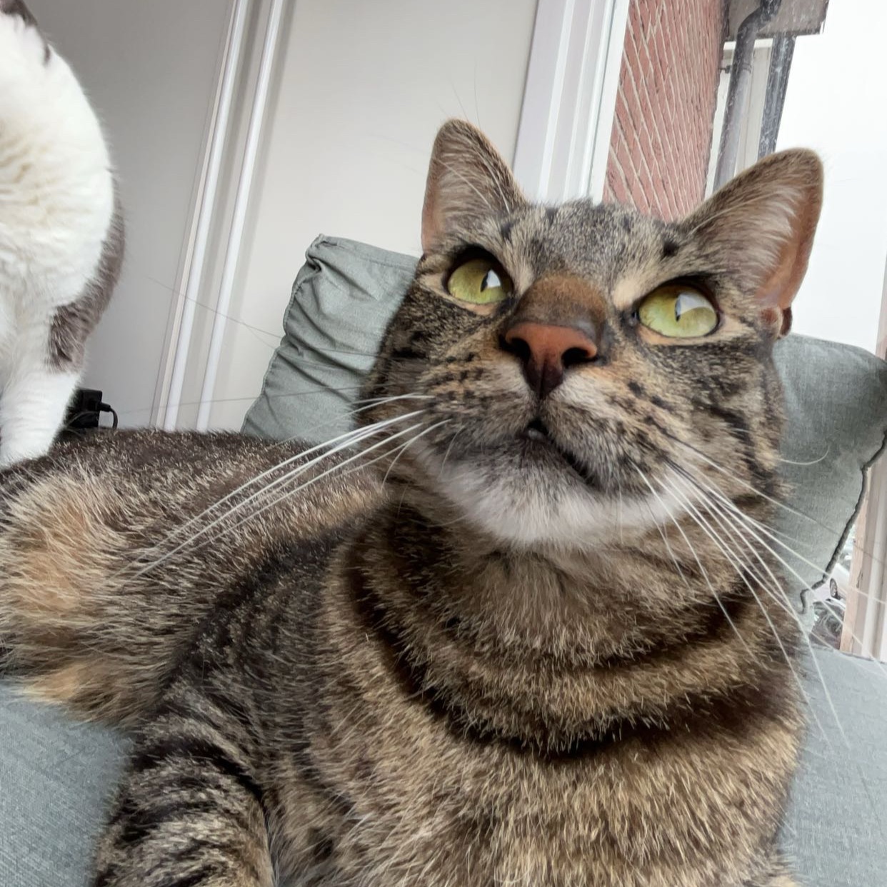 Milo