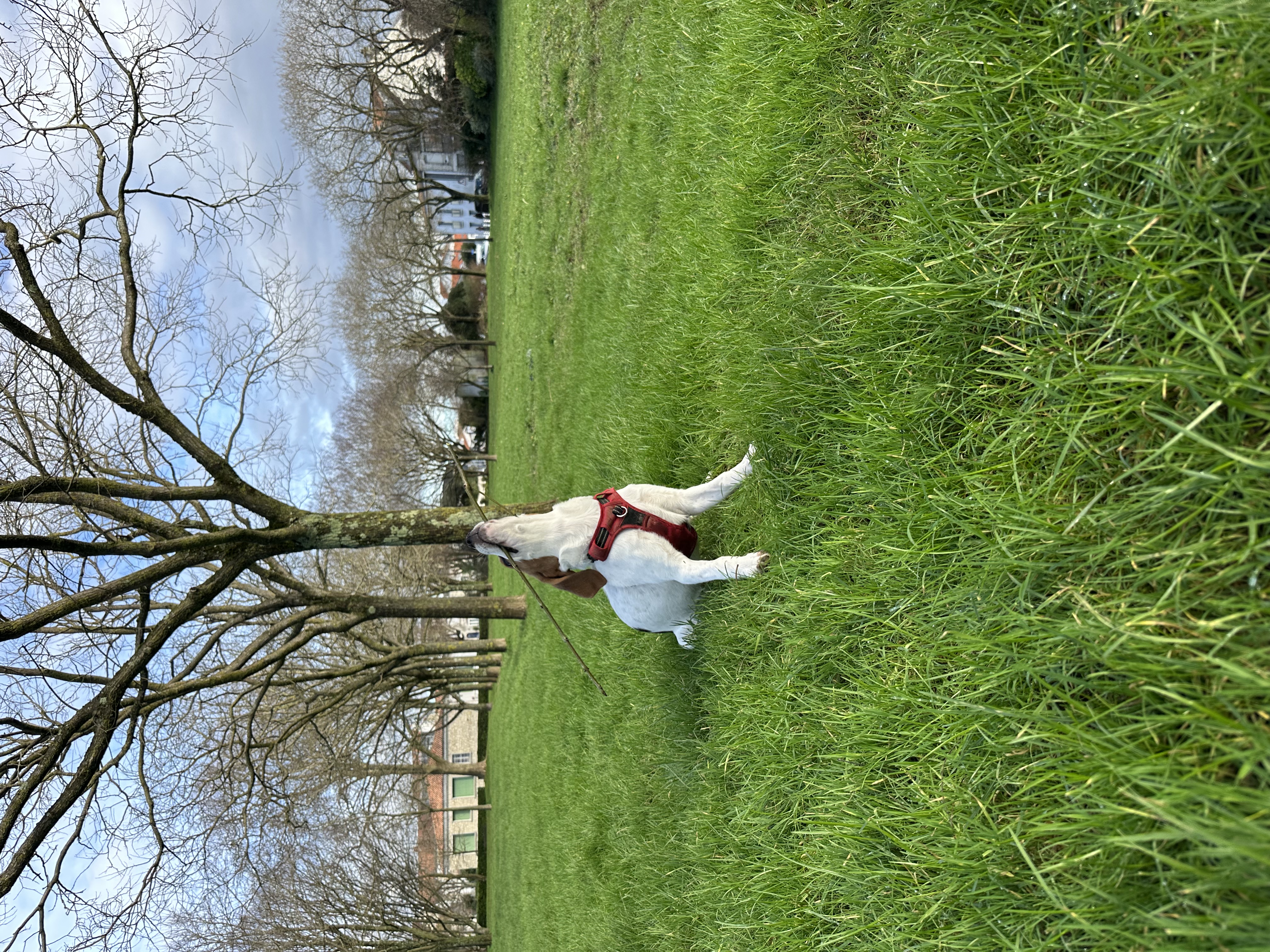 image-10