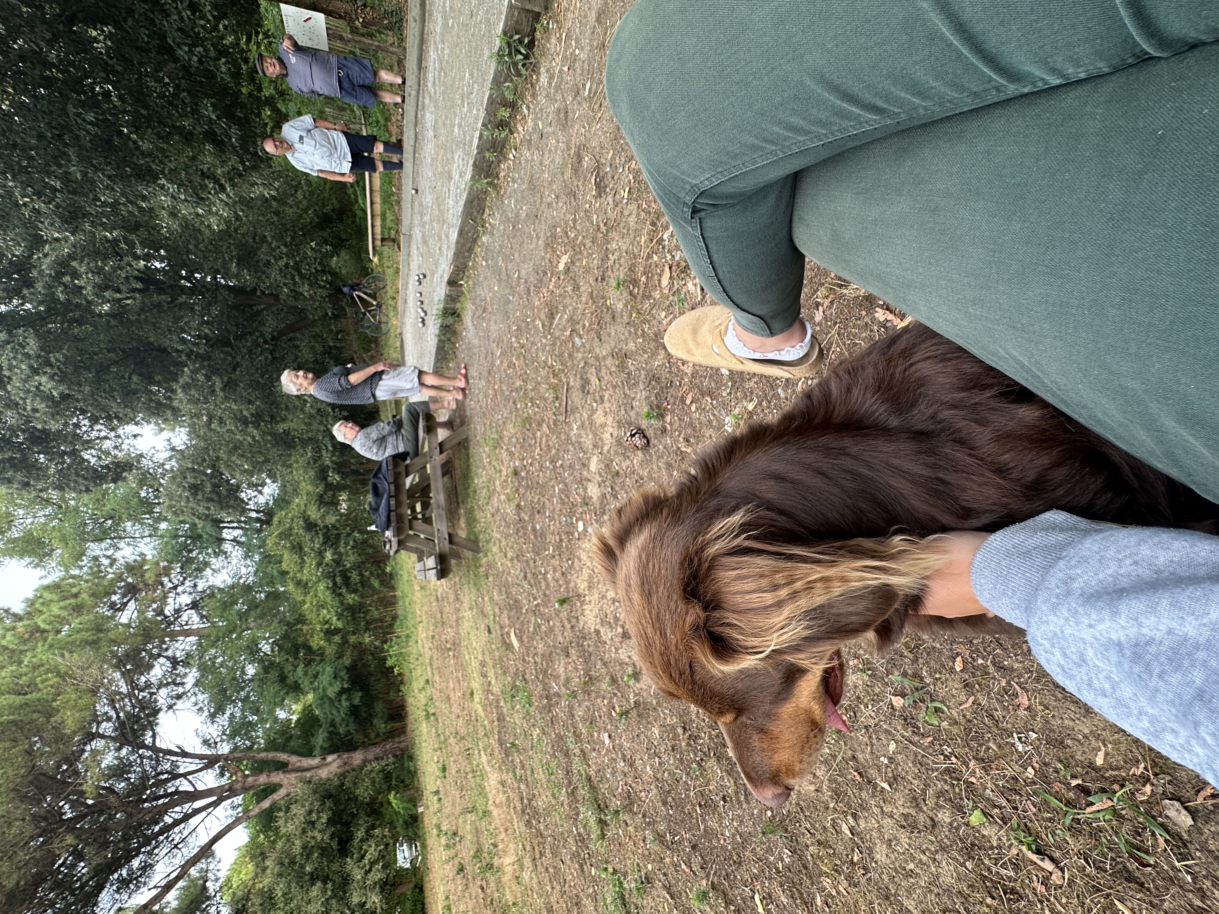 image-4