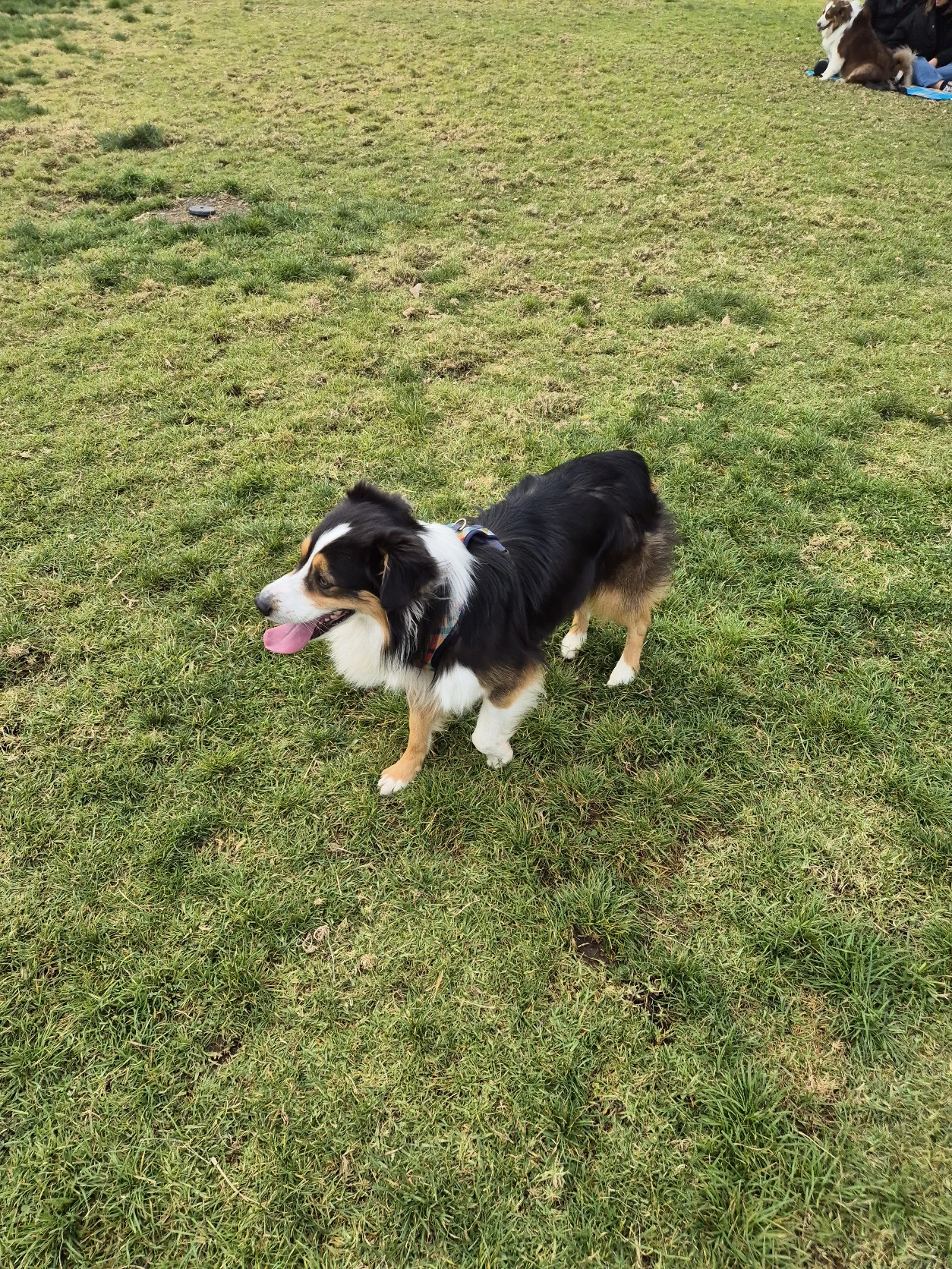 image-7