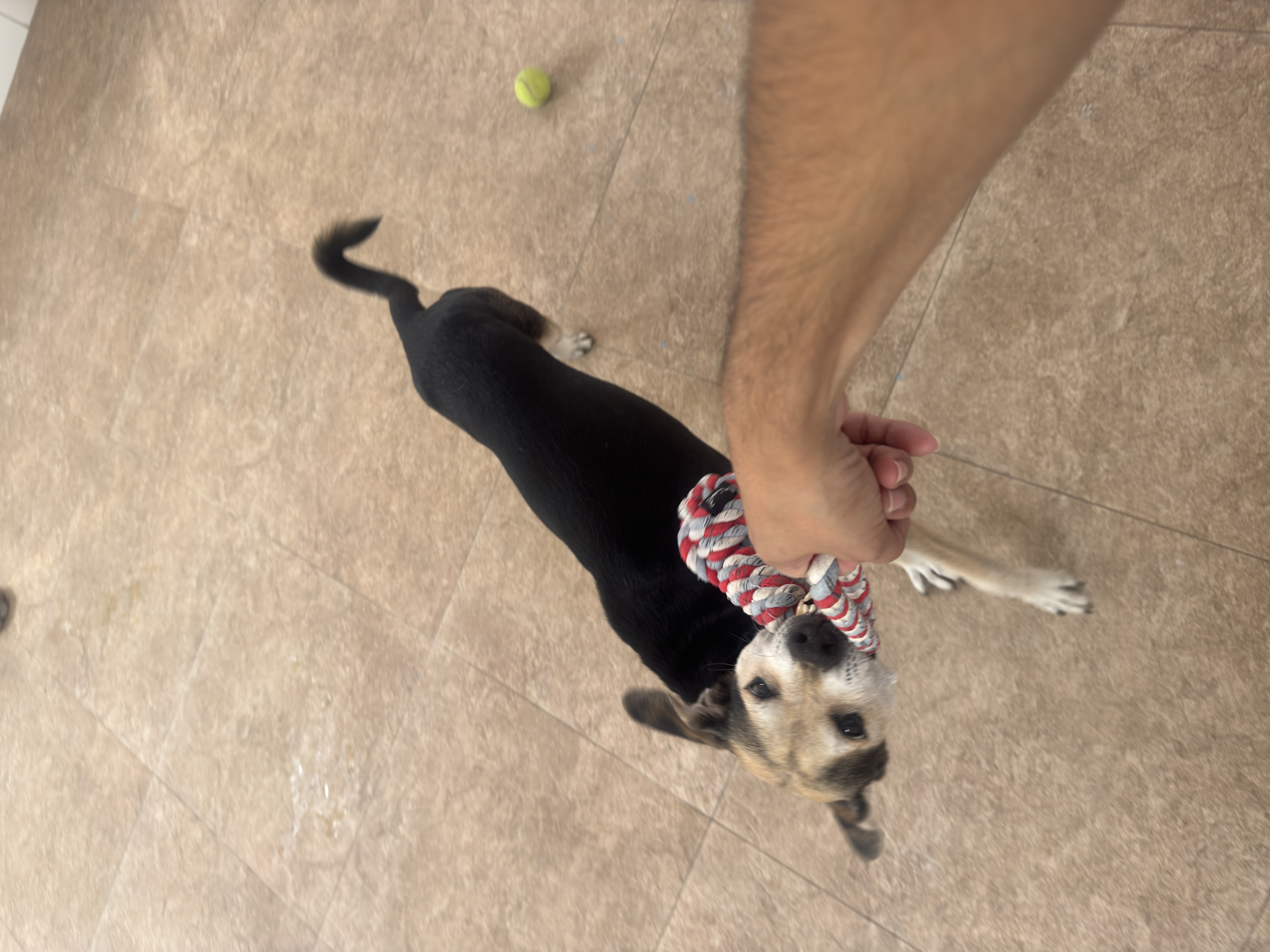 image-7