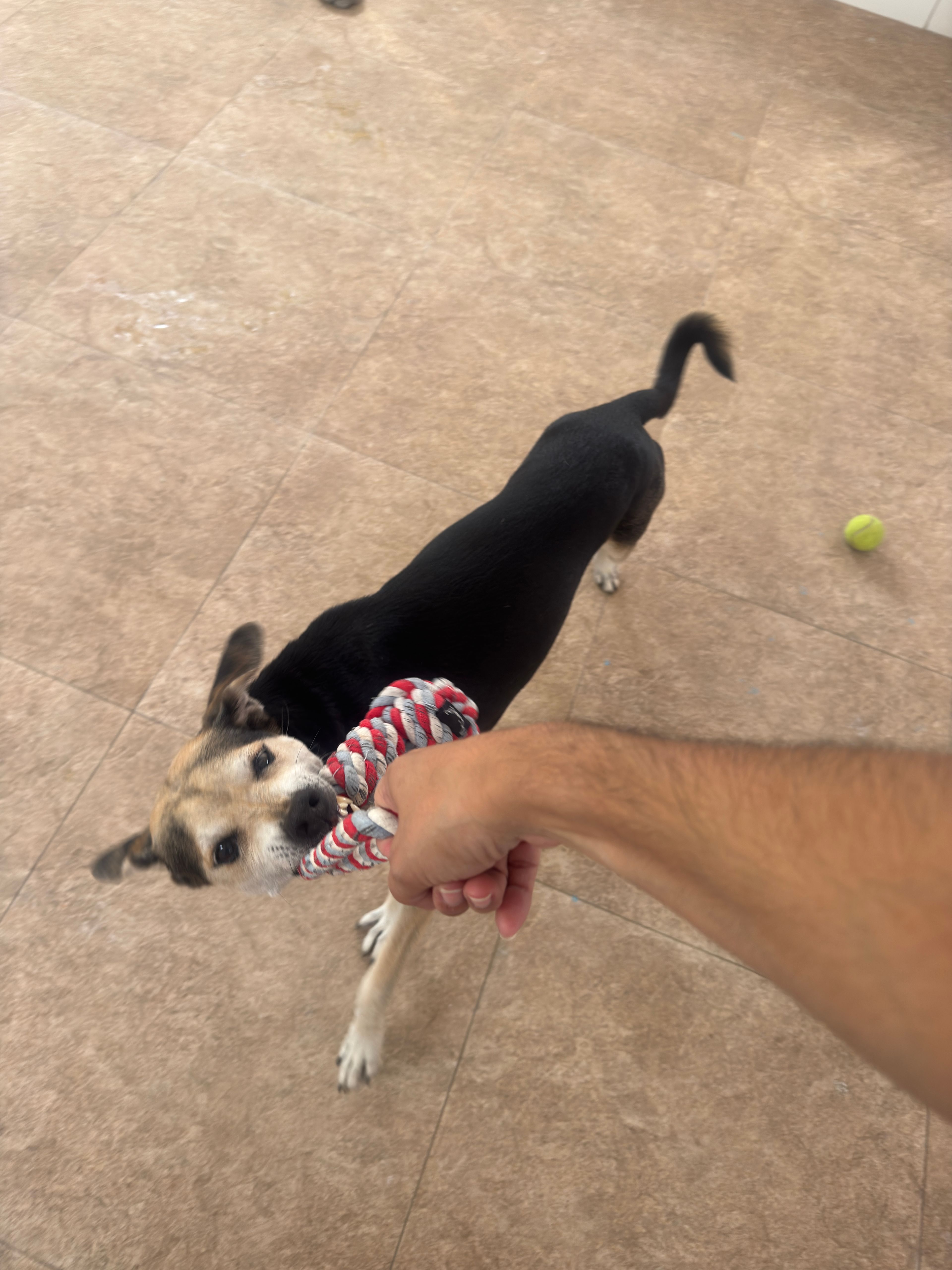 image-7