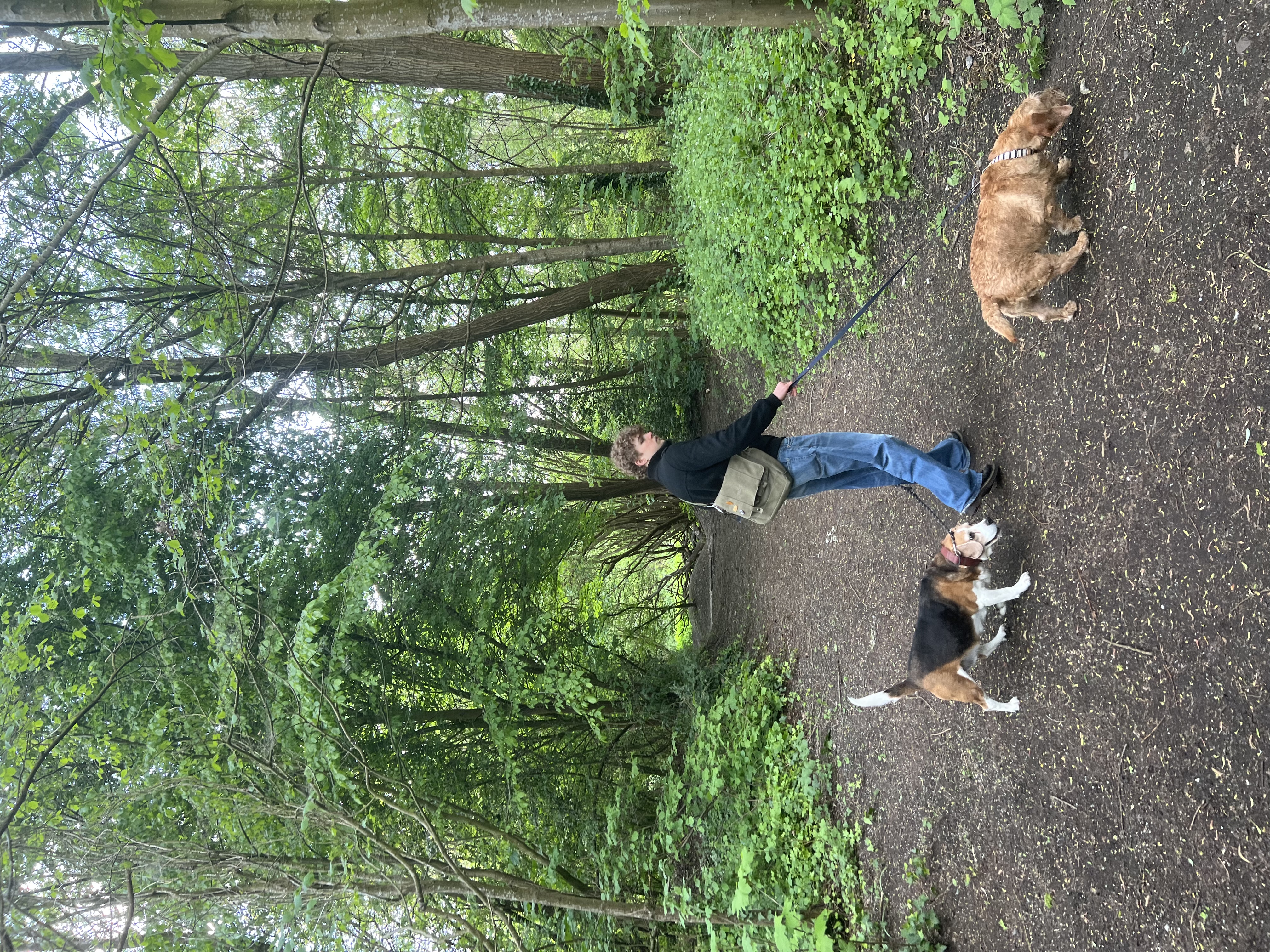 image-3