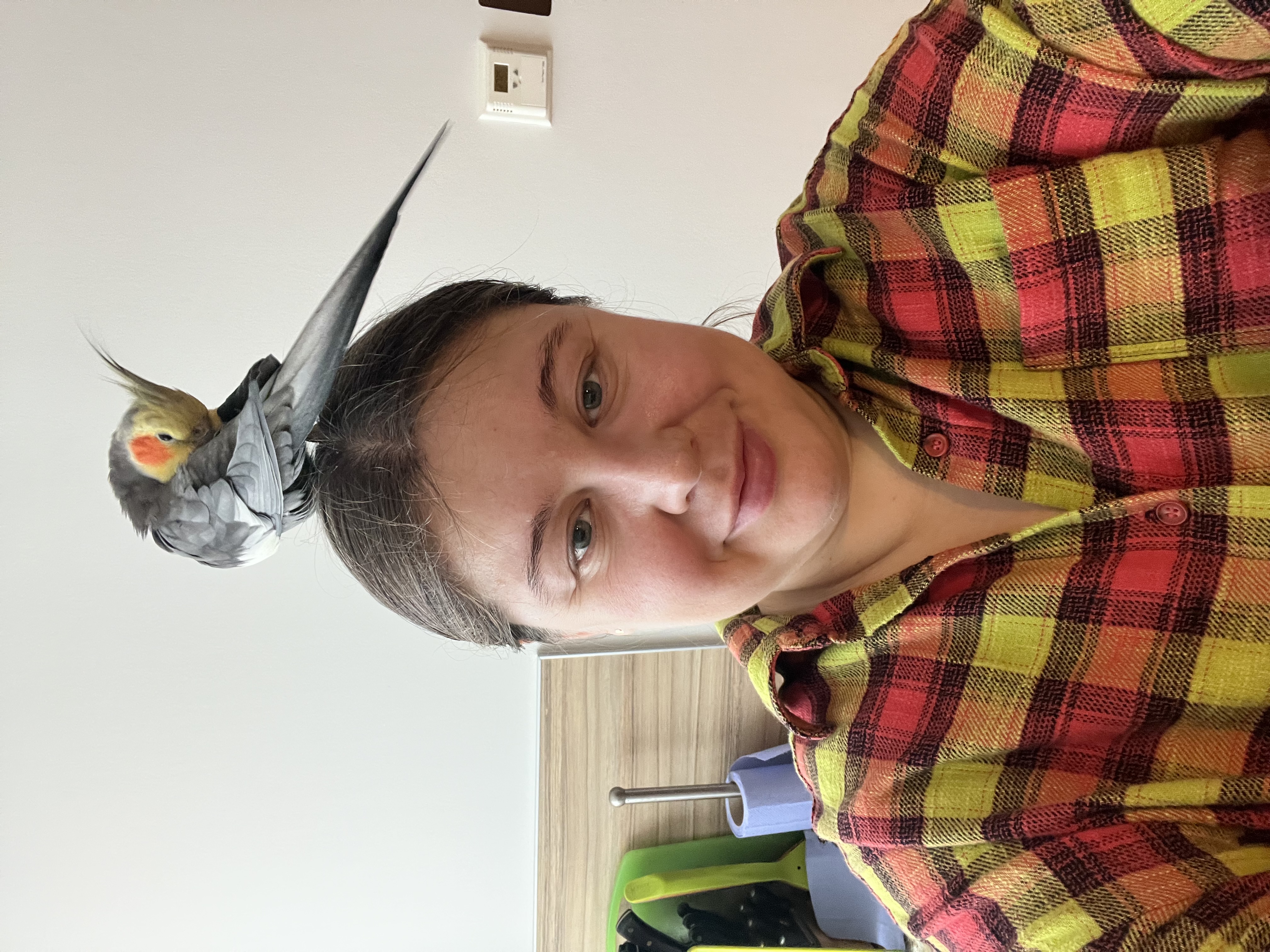 image-6