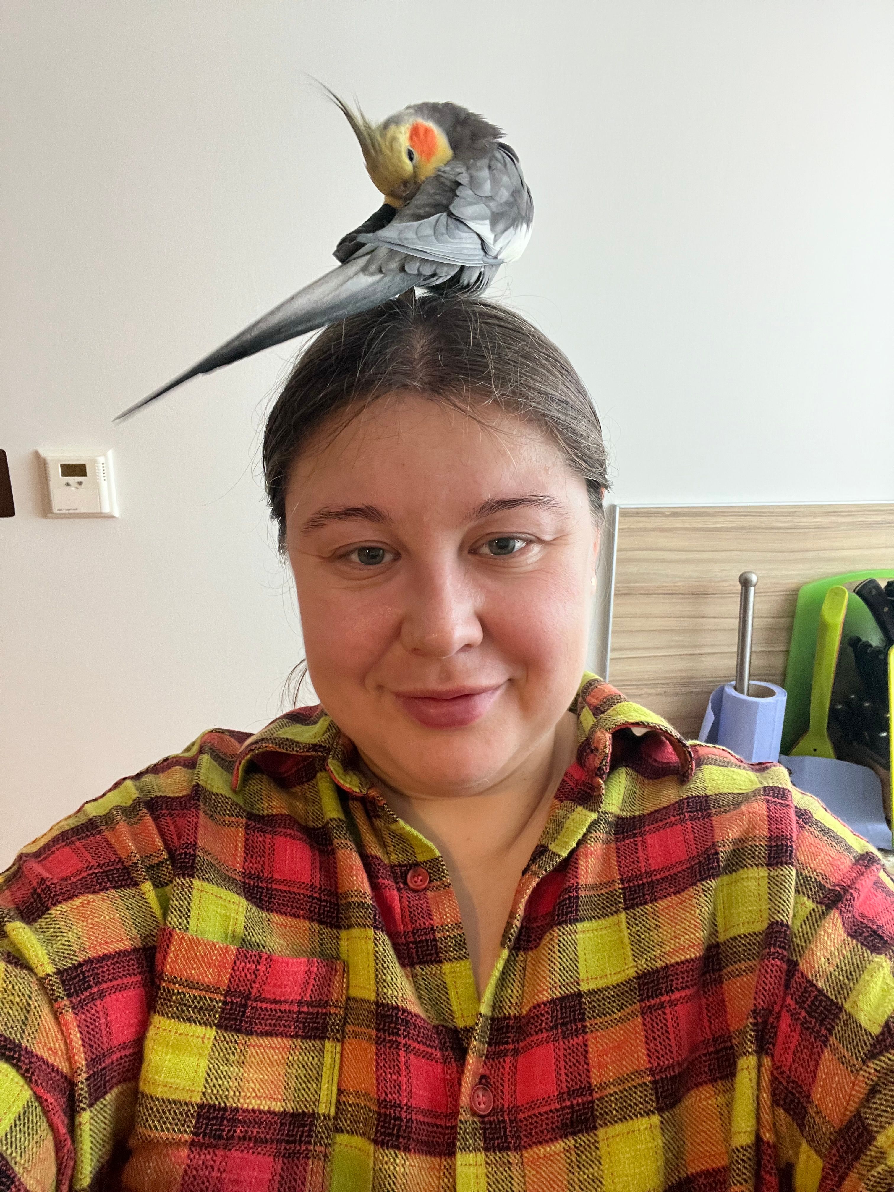 image-6