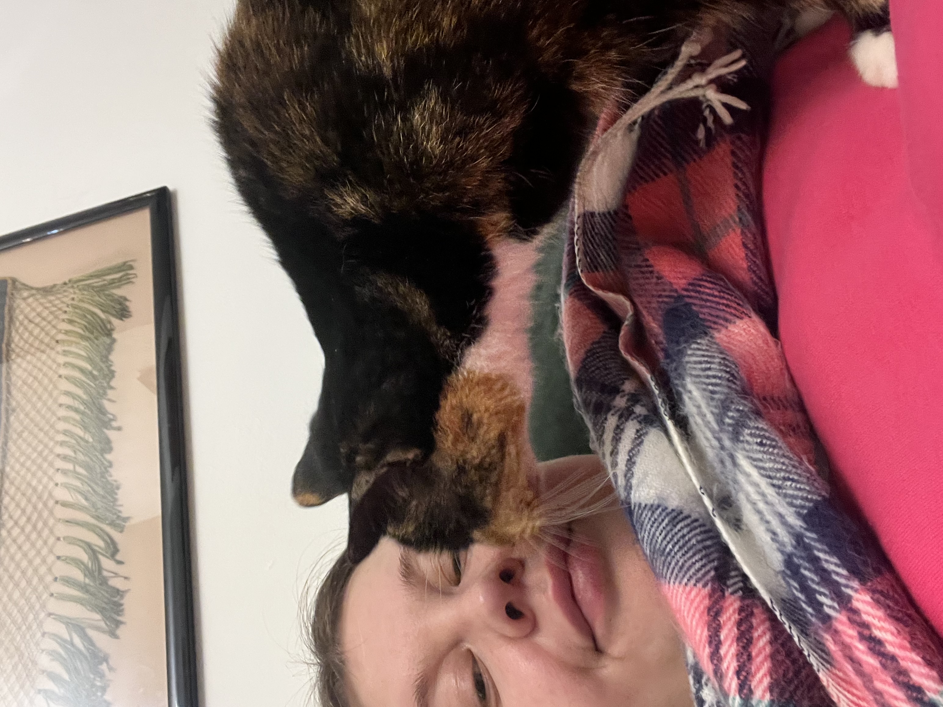 image-8