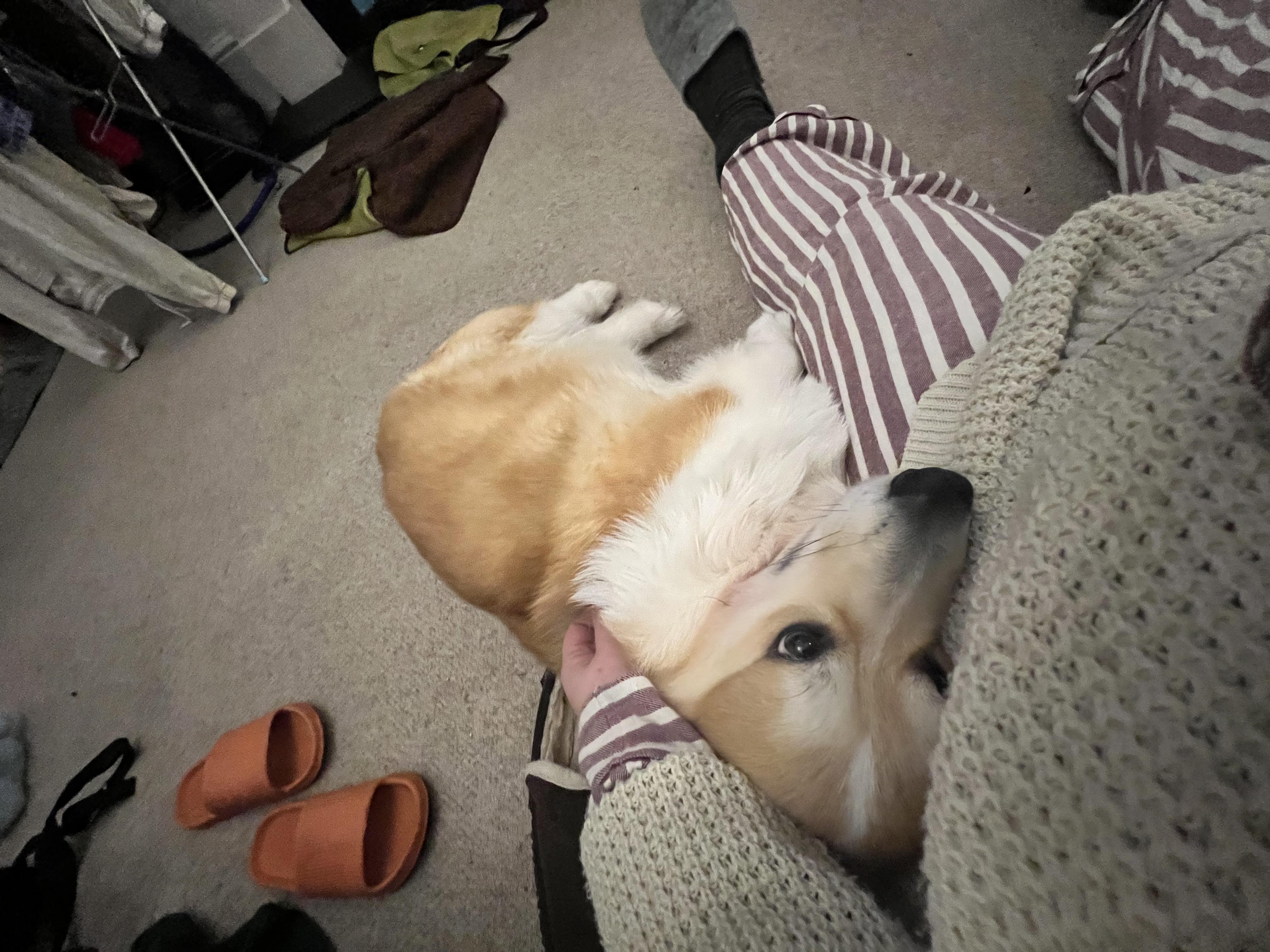 image-16