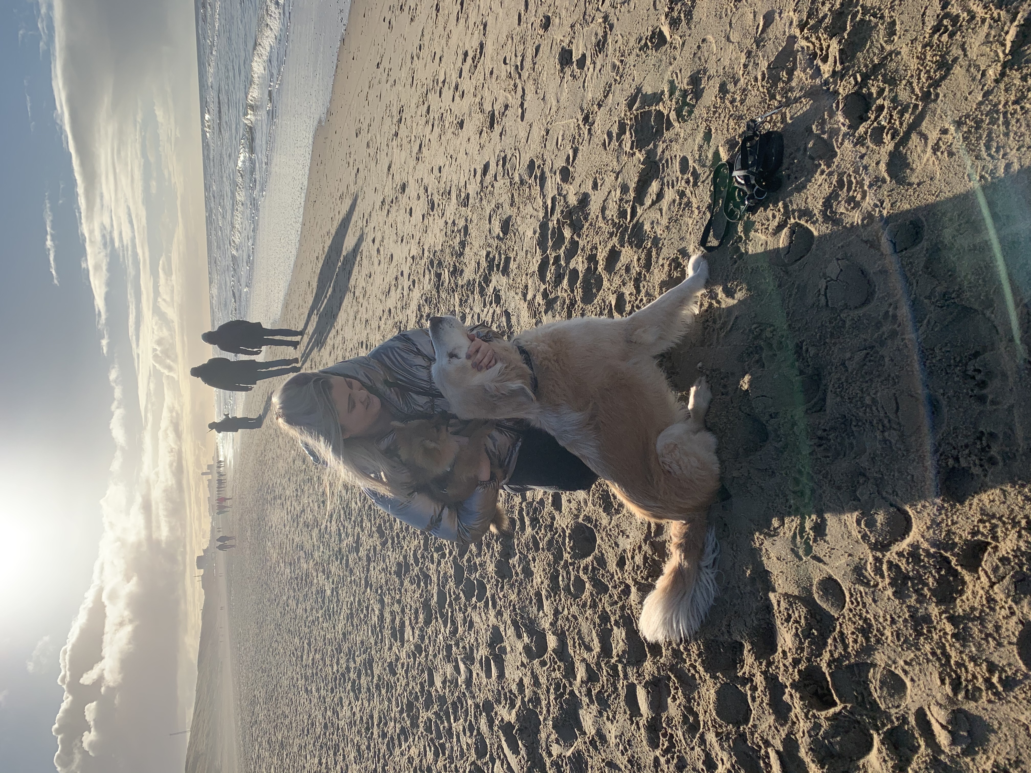 image-2