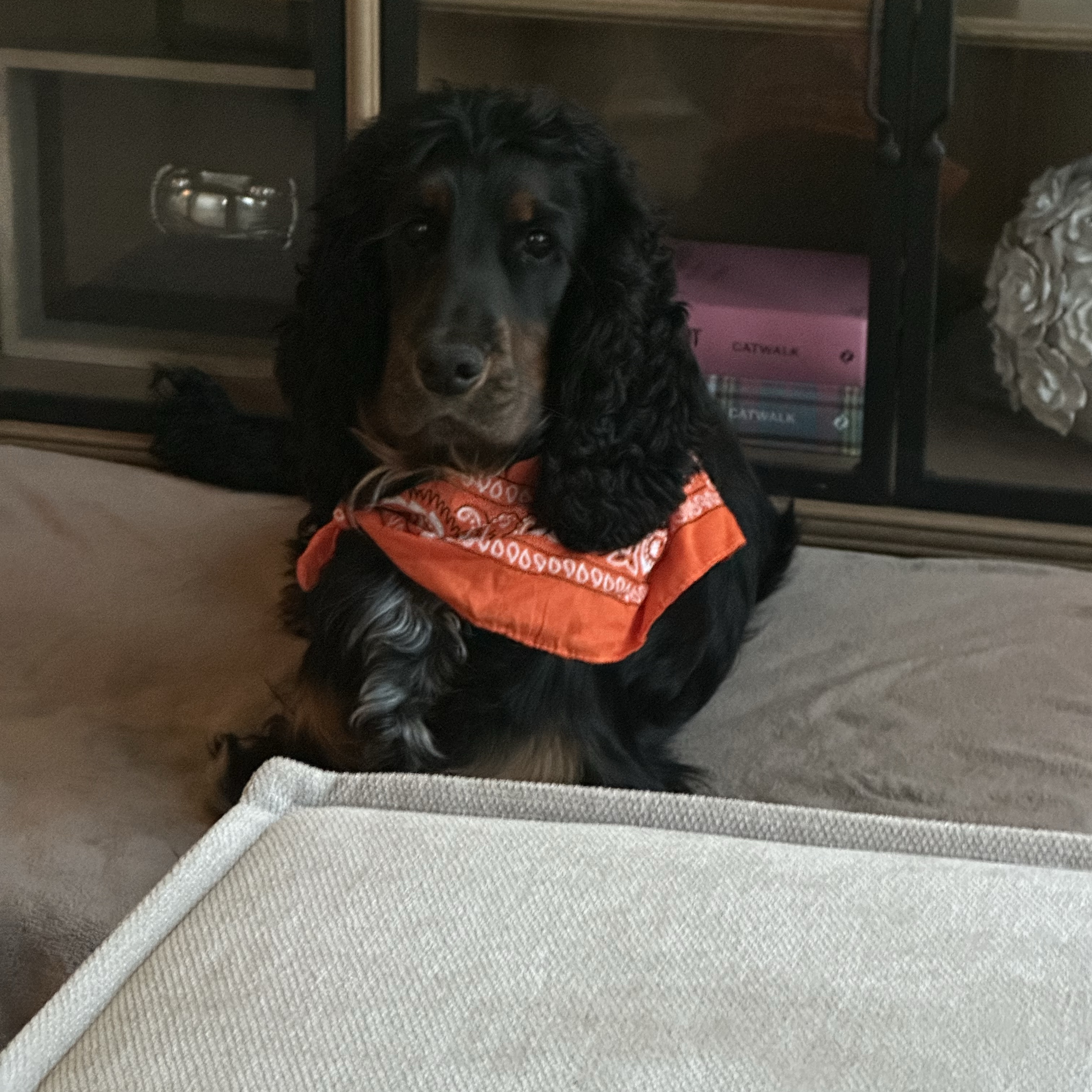 Cooper