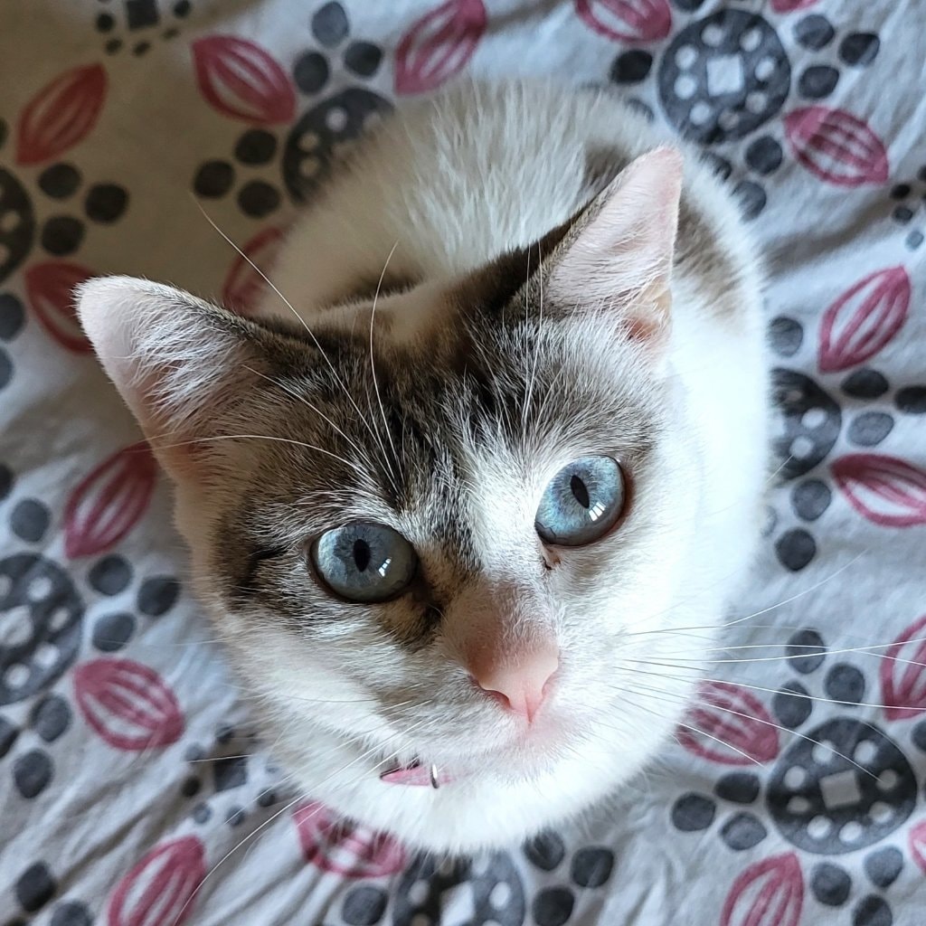 Creamy
