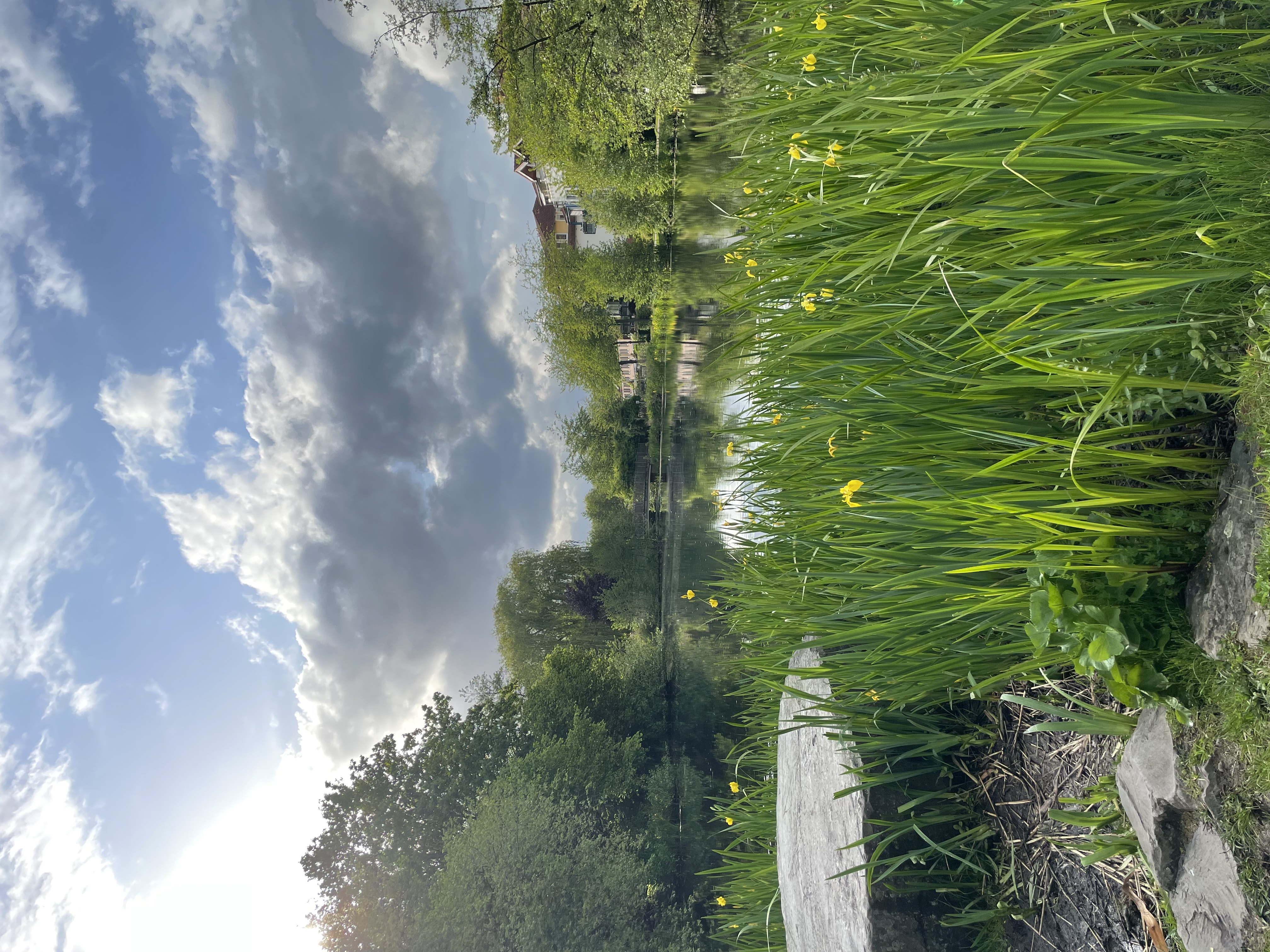 image-14