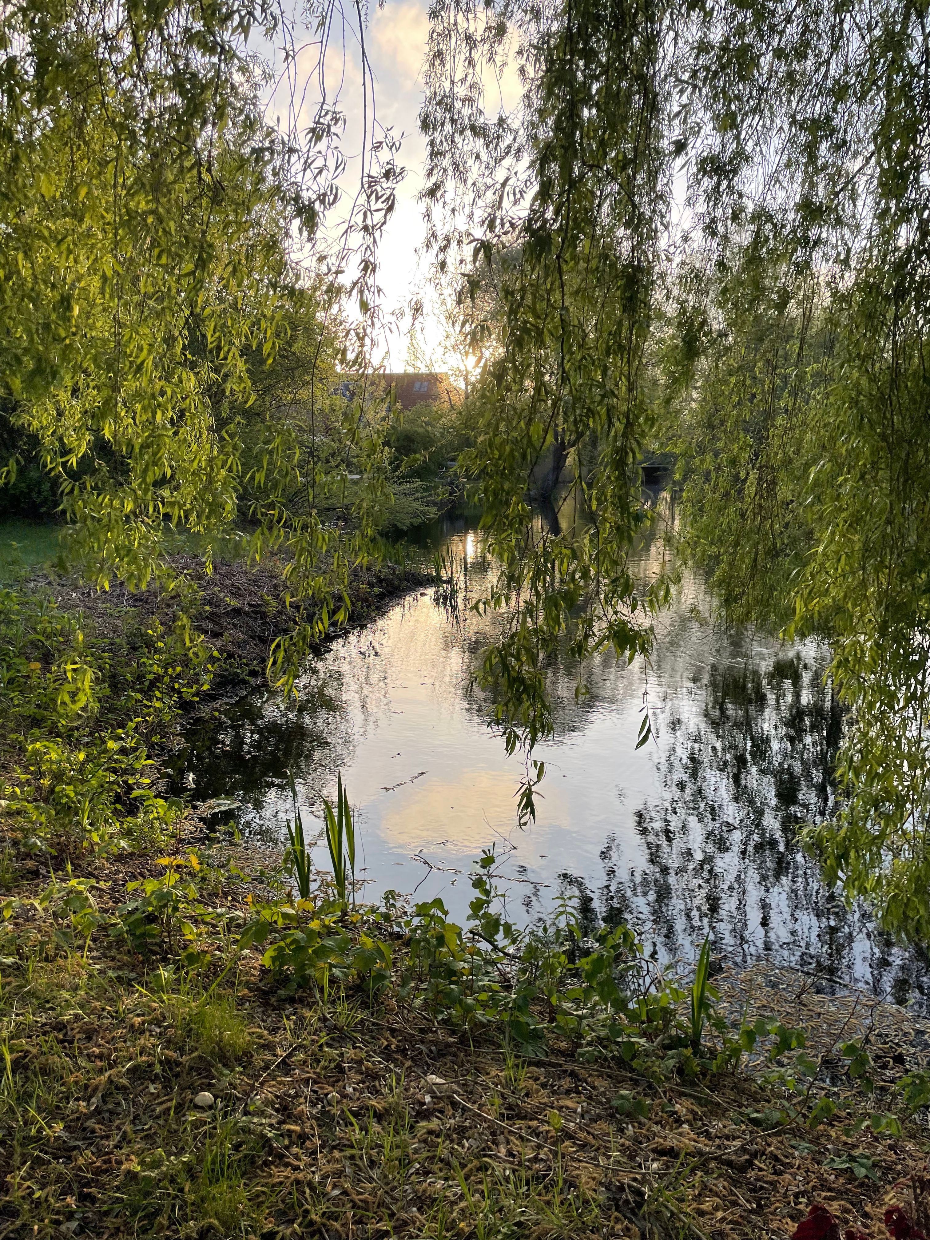 image-10