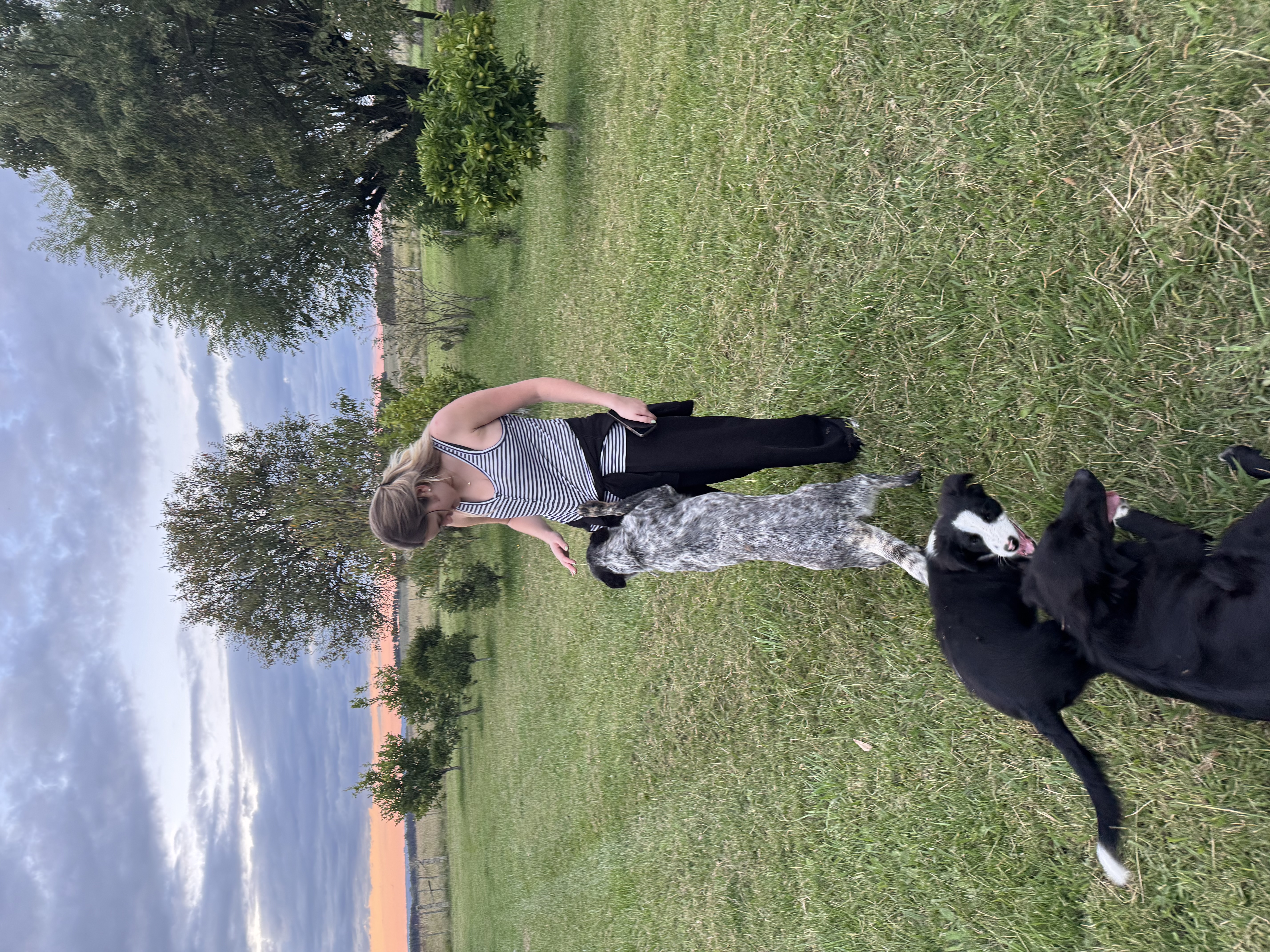 image-8