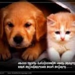 SONIYA
