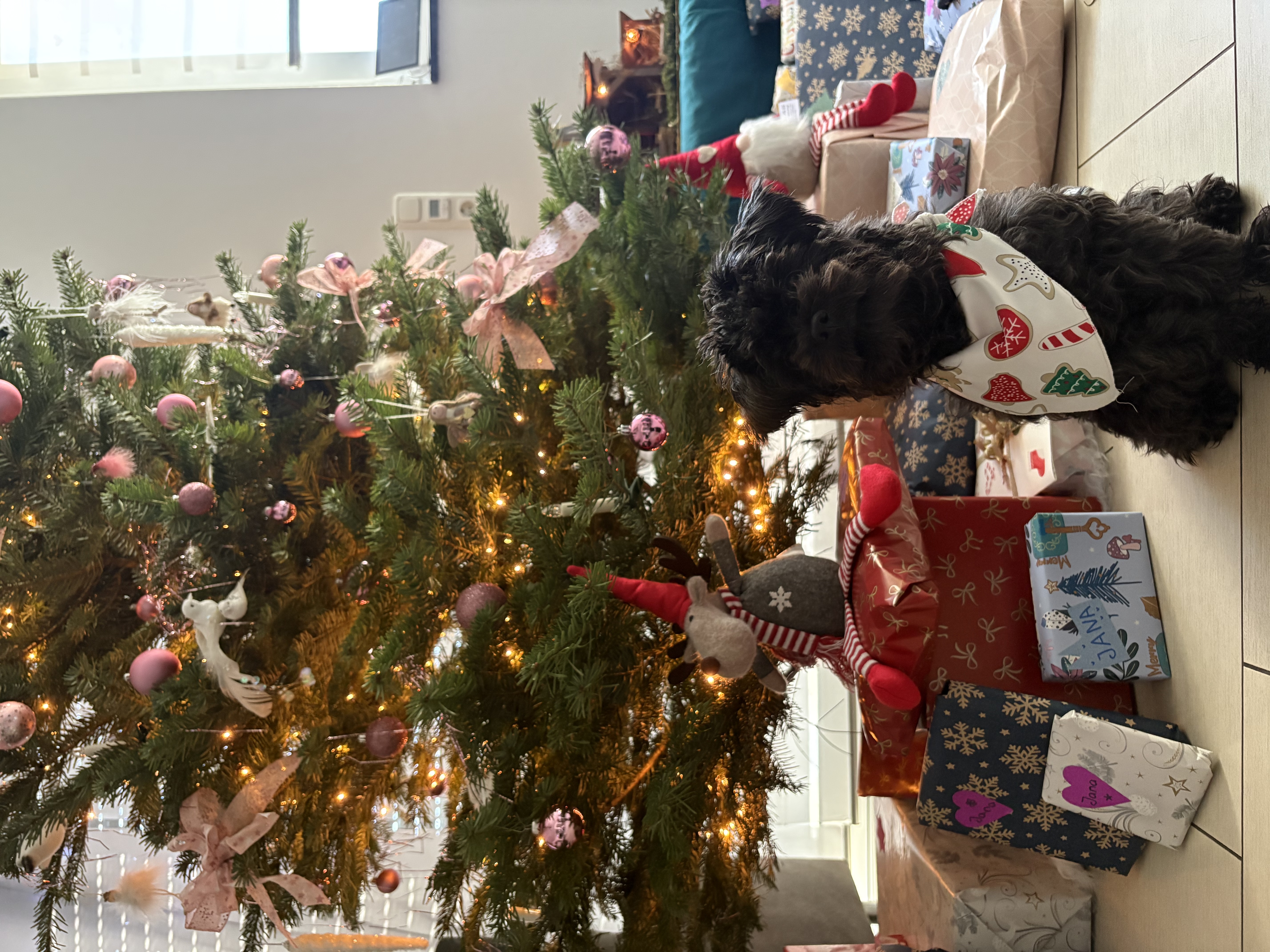 image-9
